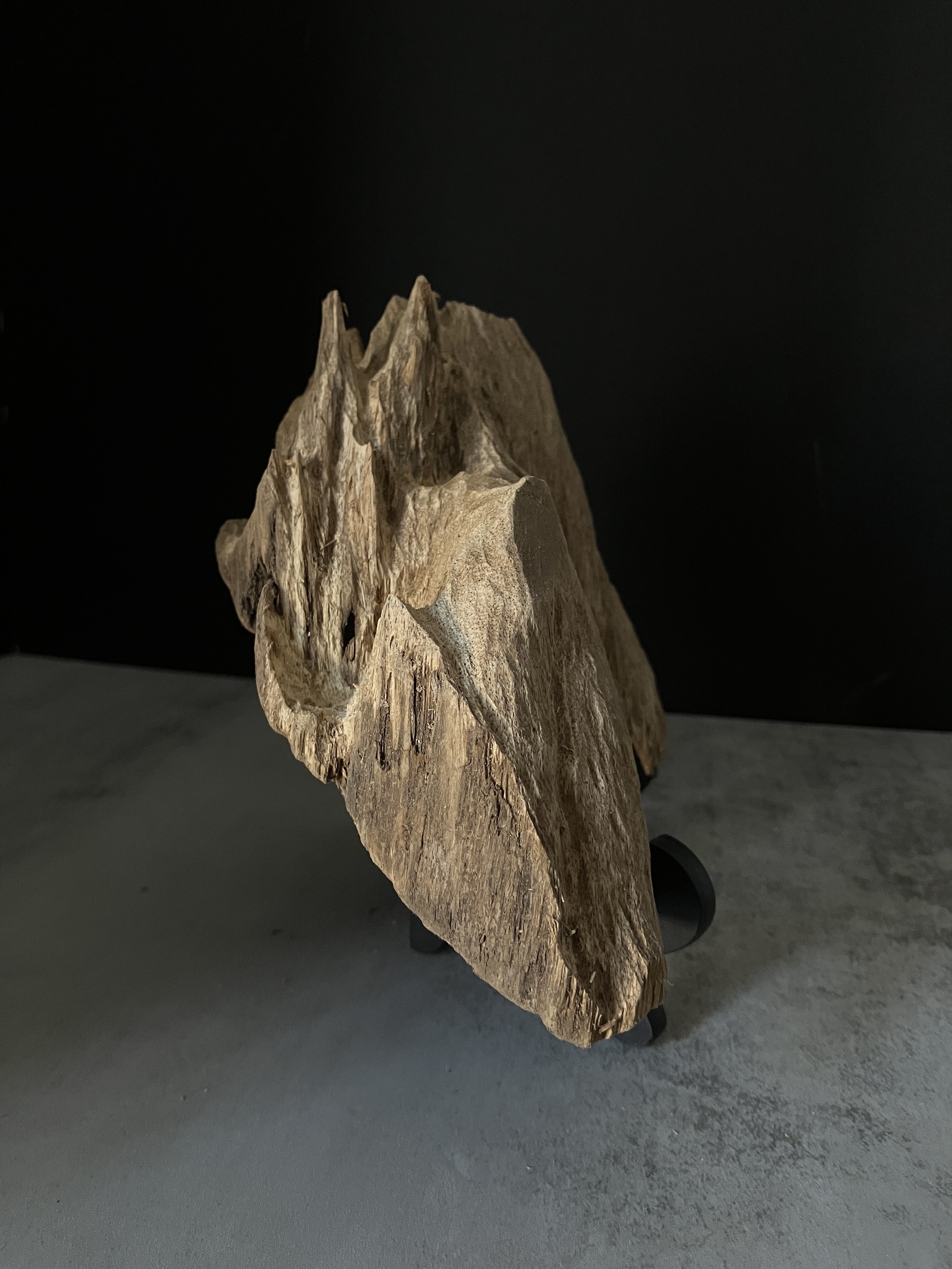 image_96656000-9F79-4F8E-9F61-62121CBB8C7A_1770104485