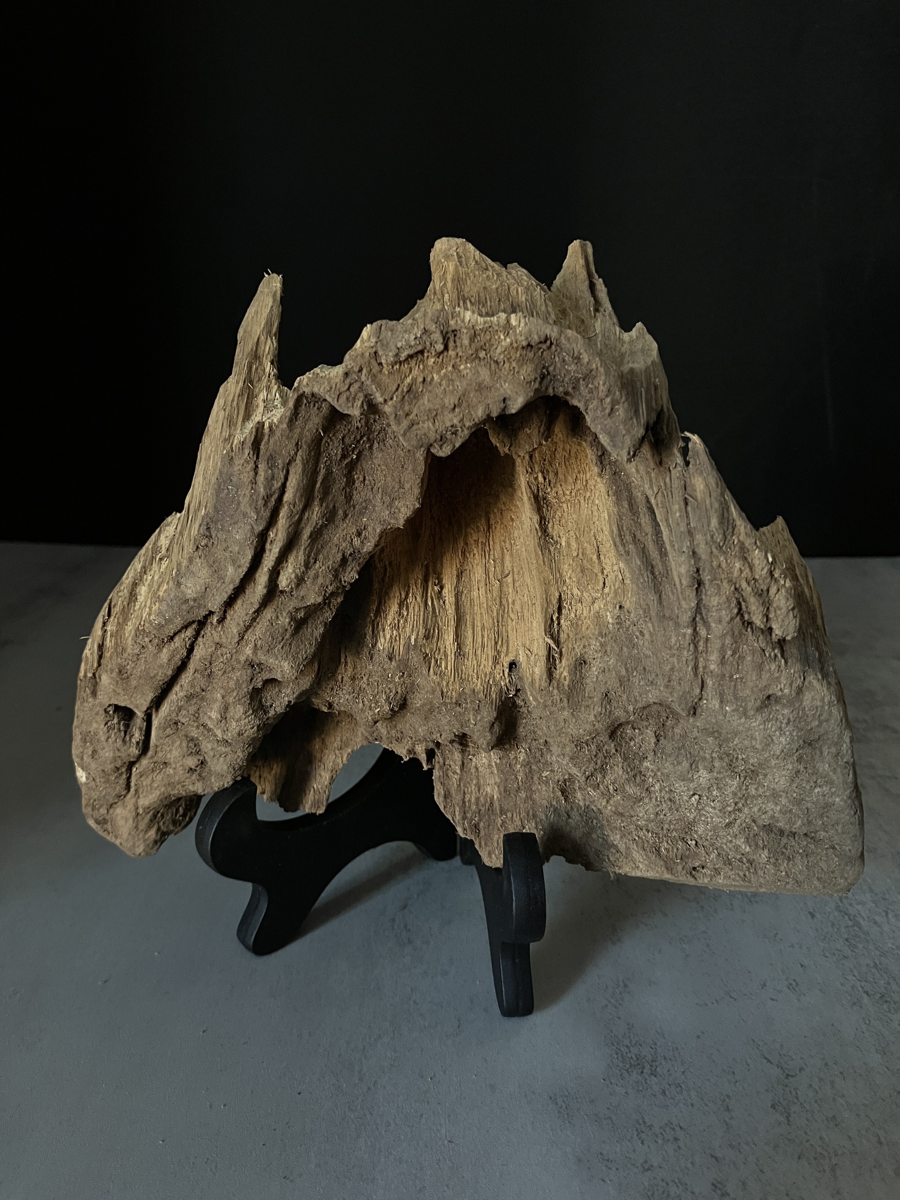 image_F7378F2B-FB7F-4490-A460-82794CFFAB71_1770104485