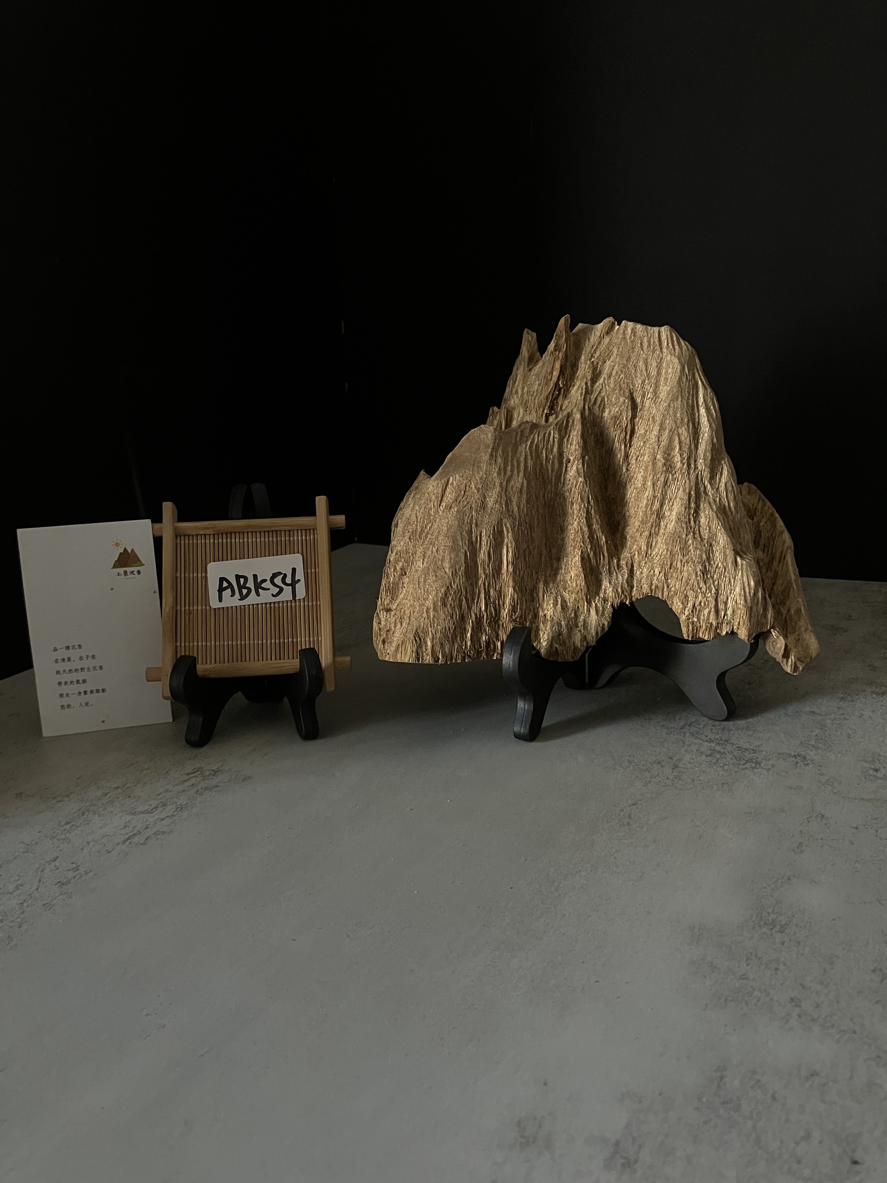 image_79724F43-6847-43AD-86B2-A476D96E7F6F_1770104485