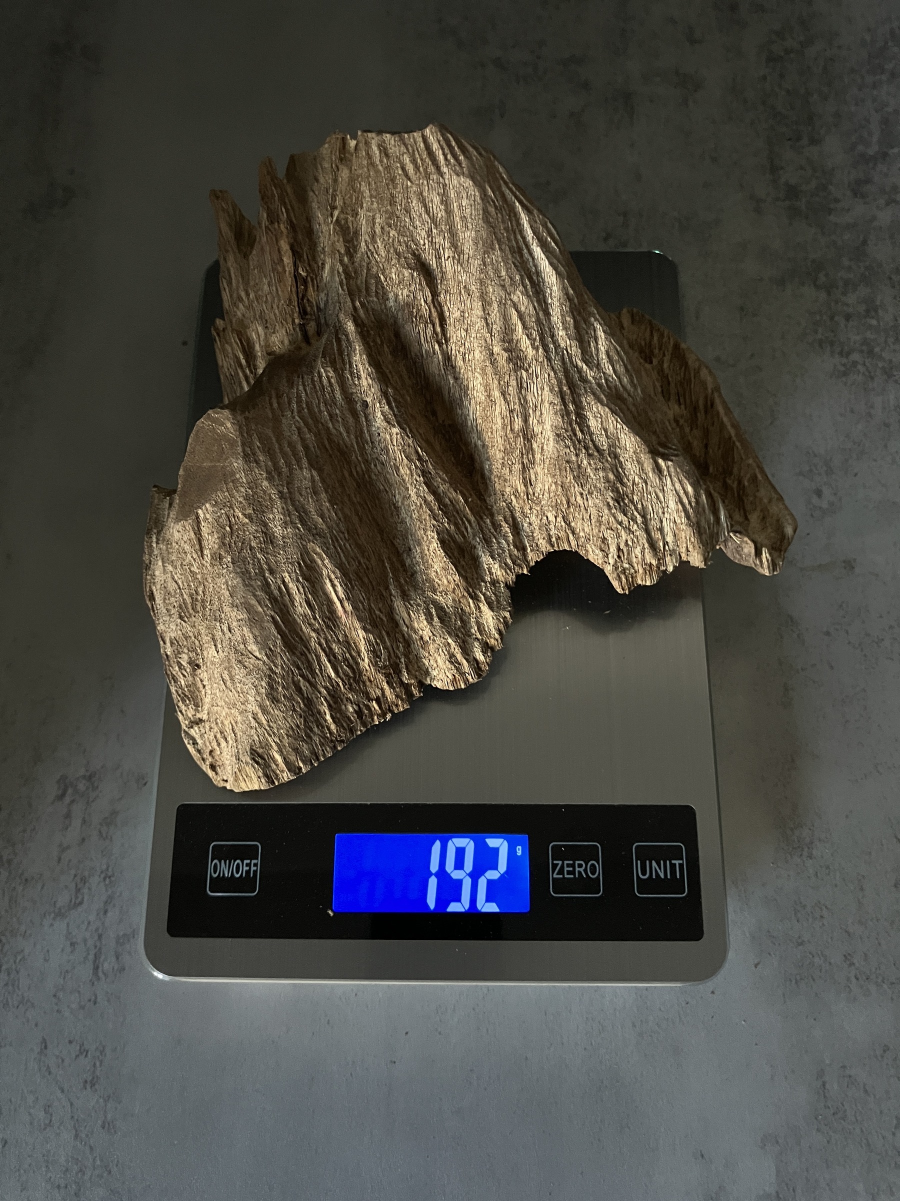 image_FC6C1A4D-5100-4A72-986B-FC9F45D9A82A_1770104485