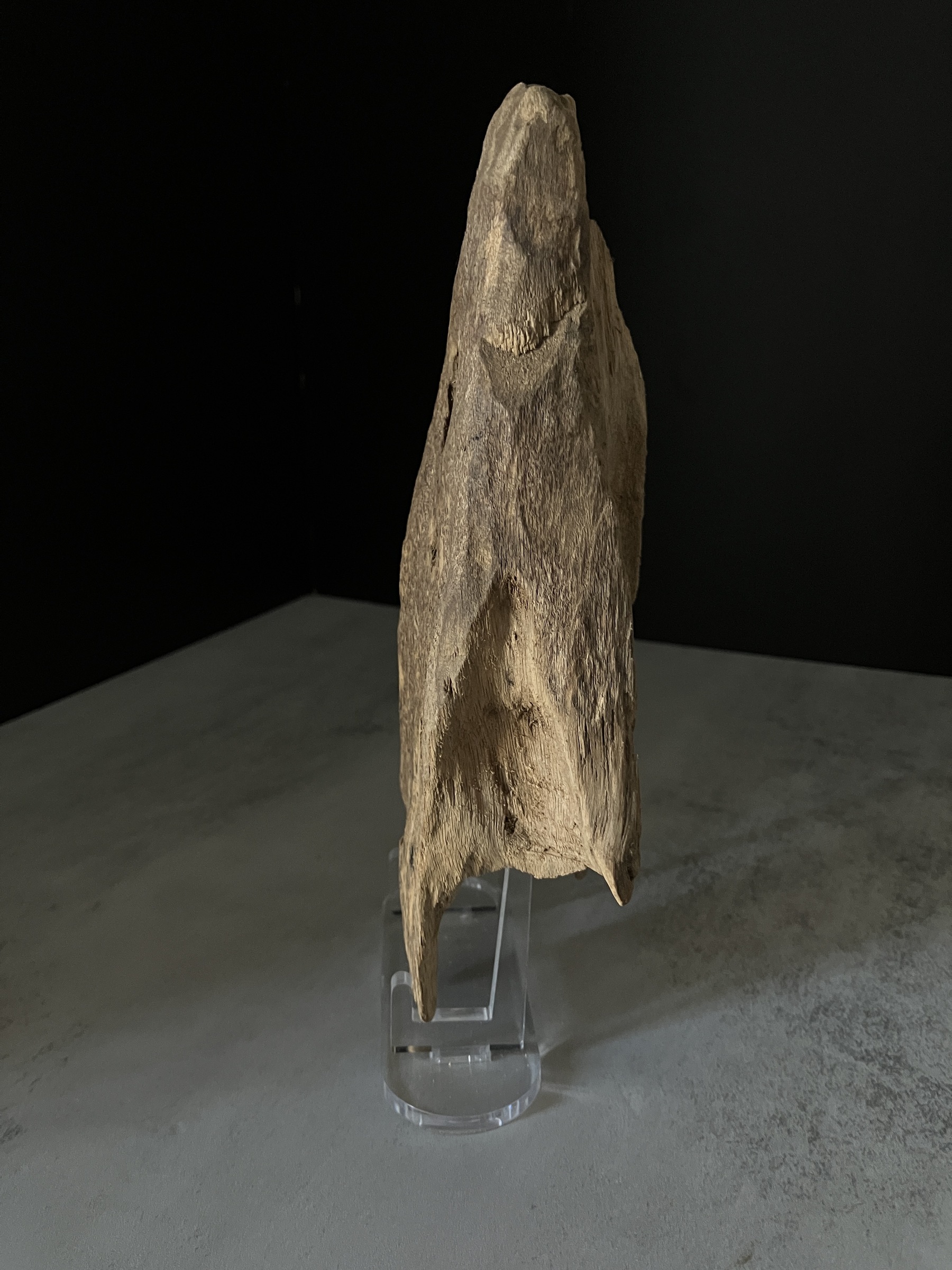 image_A23D7F9A-E545-4D6F-A22E-53751D29A332_1770104602