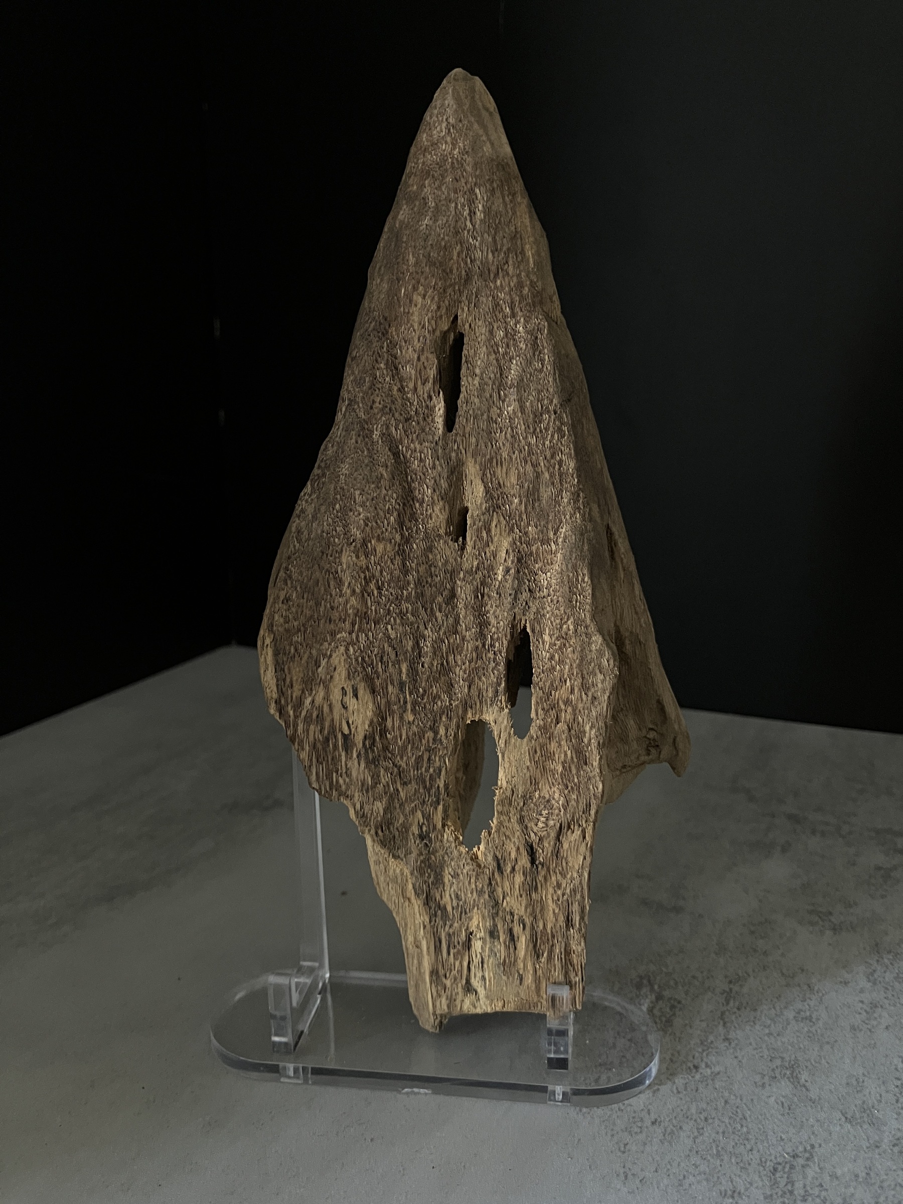 image_BD5E4194-9003-4EB5-90D6-10CD20019BC9_1770104602