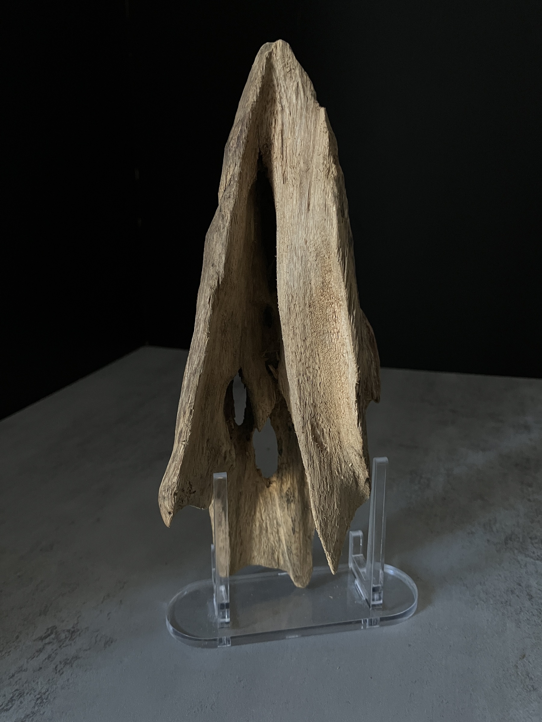 image_8D472521-C38D-4808-A608-869F4BFDE9FE_1770104602