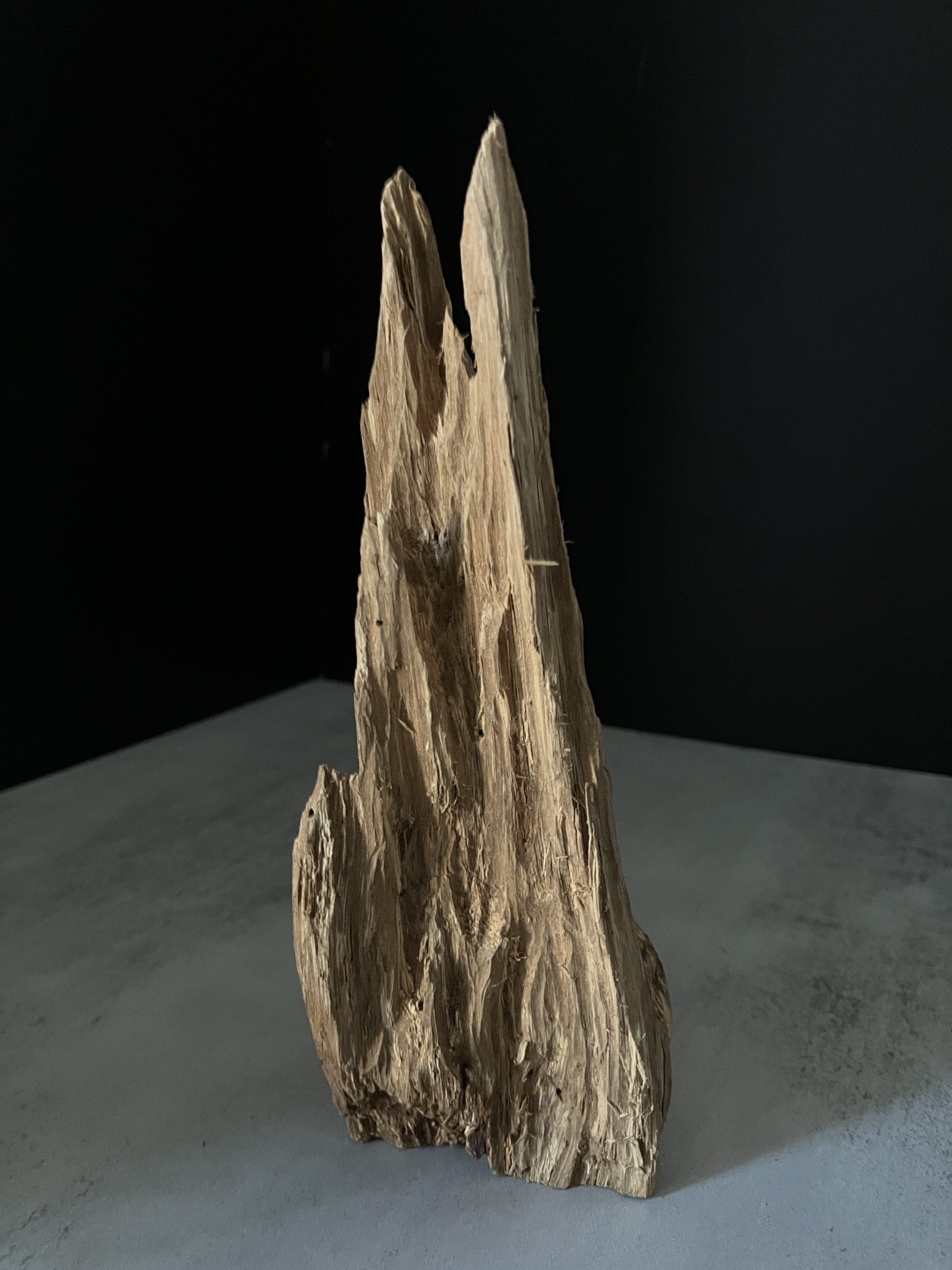 image_CB85EFE7-34B9-4948-9364-28373B225265_1770104677