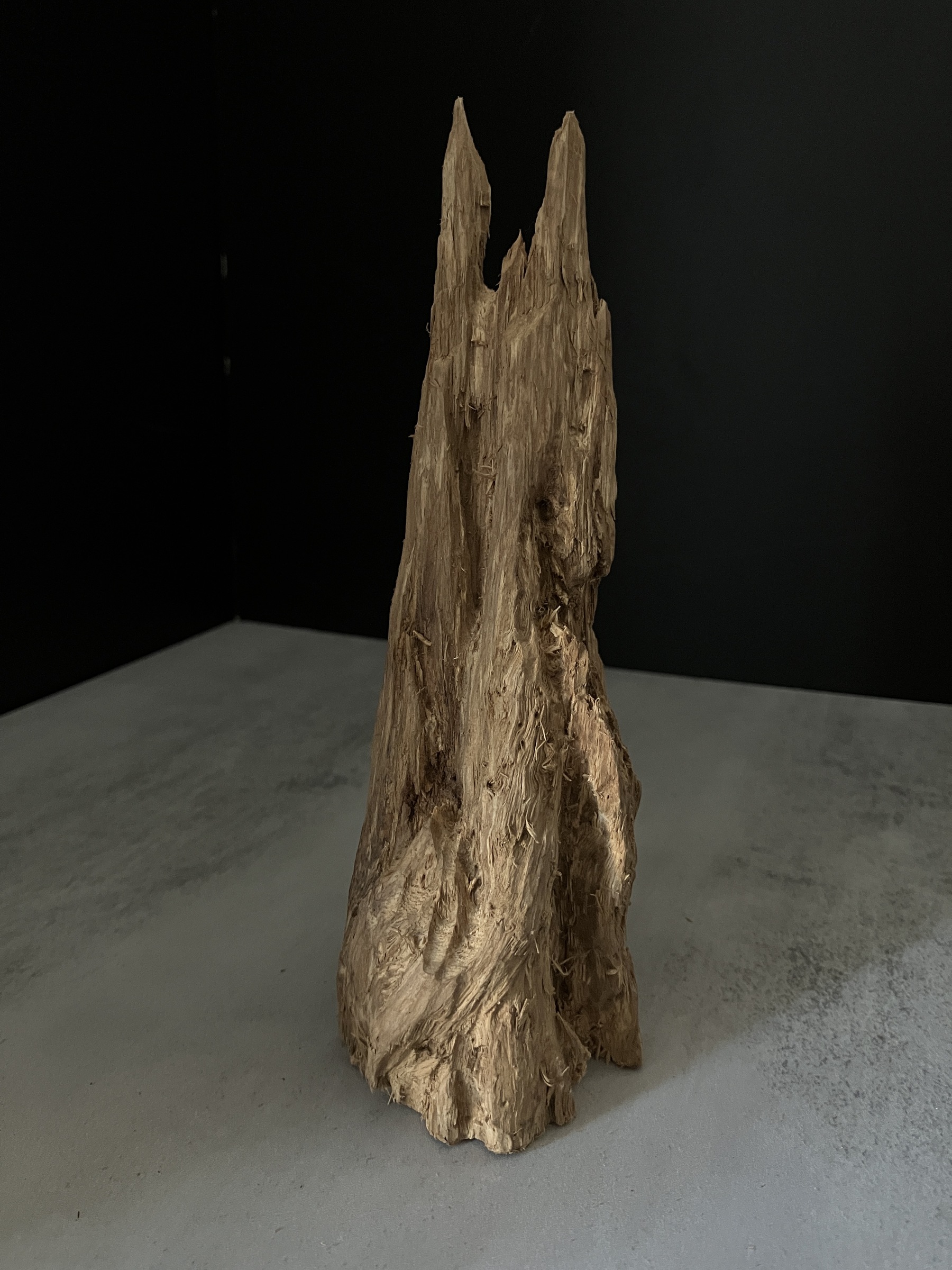 image_656A6A24-6469-4905-BB55-B081324853FE_1770104677