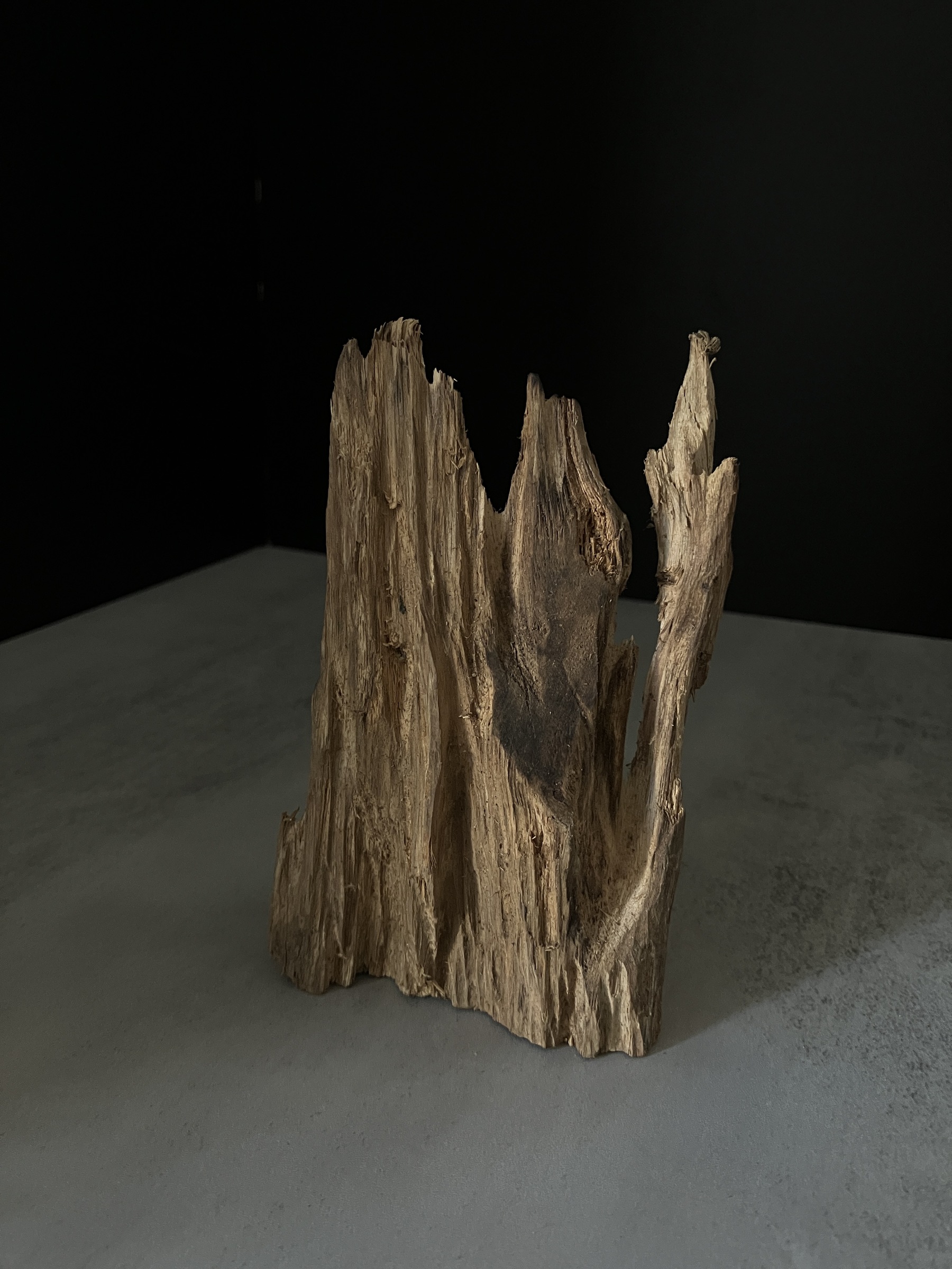 image_5665CB24-B17D-4FB5-BB75-9988FAB6EAEA_1770104759