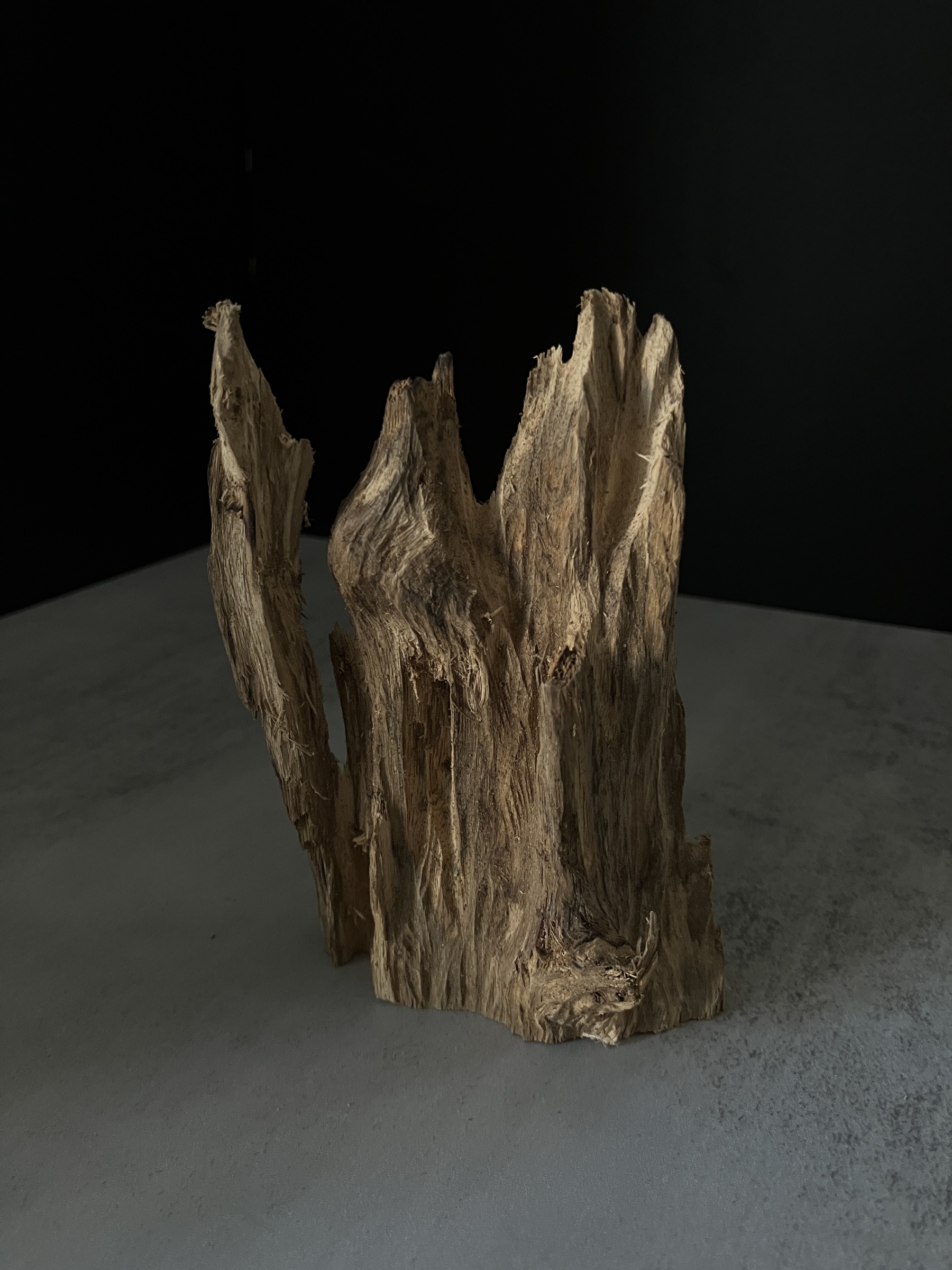 image_2A5BC264-AB34-41EA-826F-F41202AE228B_1770104759