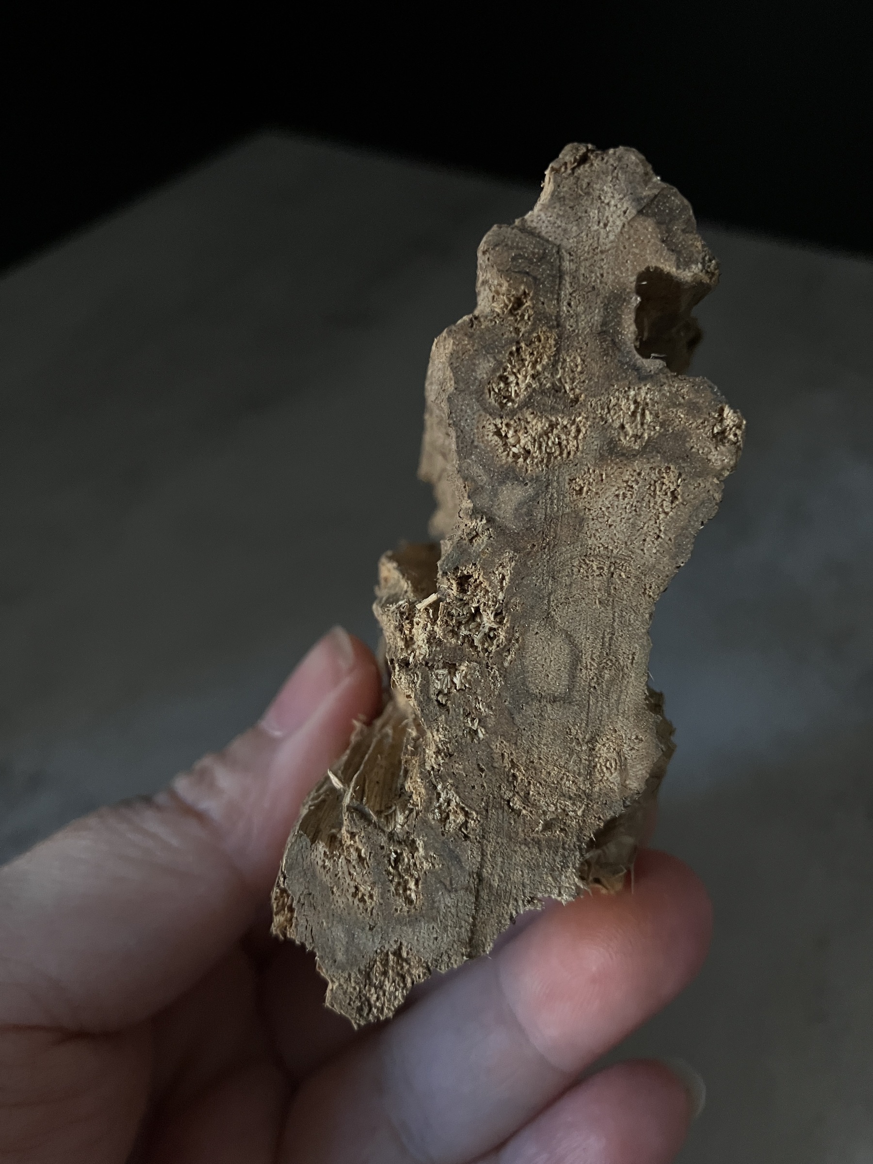 image_07CCDD3B-3CA9-489C-AB05-B1034AC24E42_1770104759