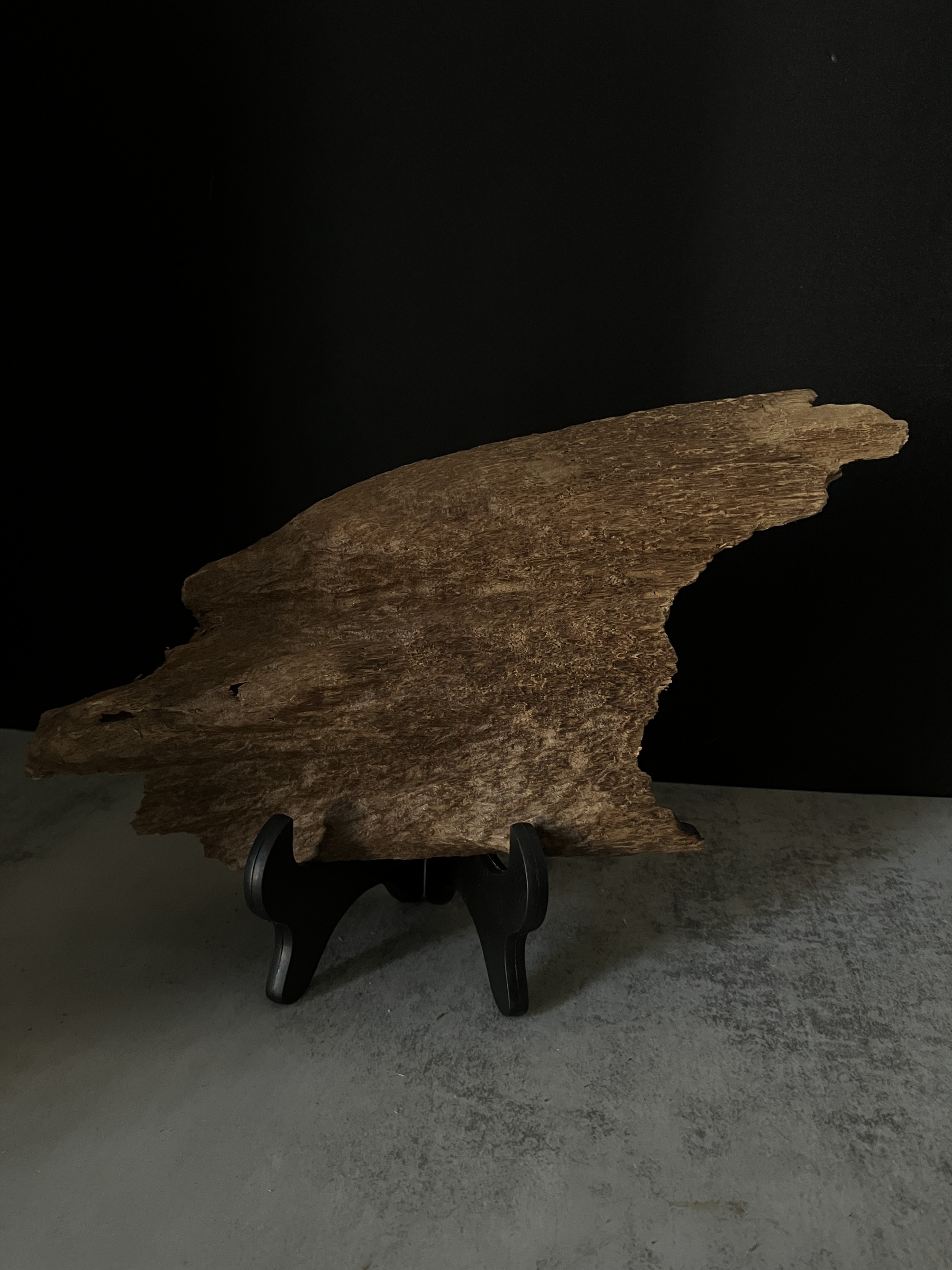 image_07E68DAA-1AB7-48E9-9632-FA4BE815D2FE_1770104841