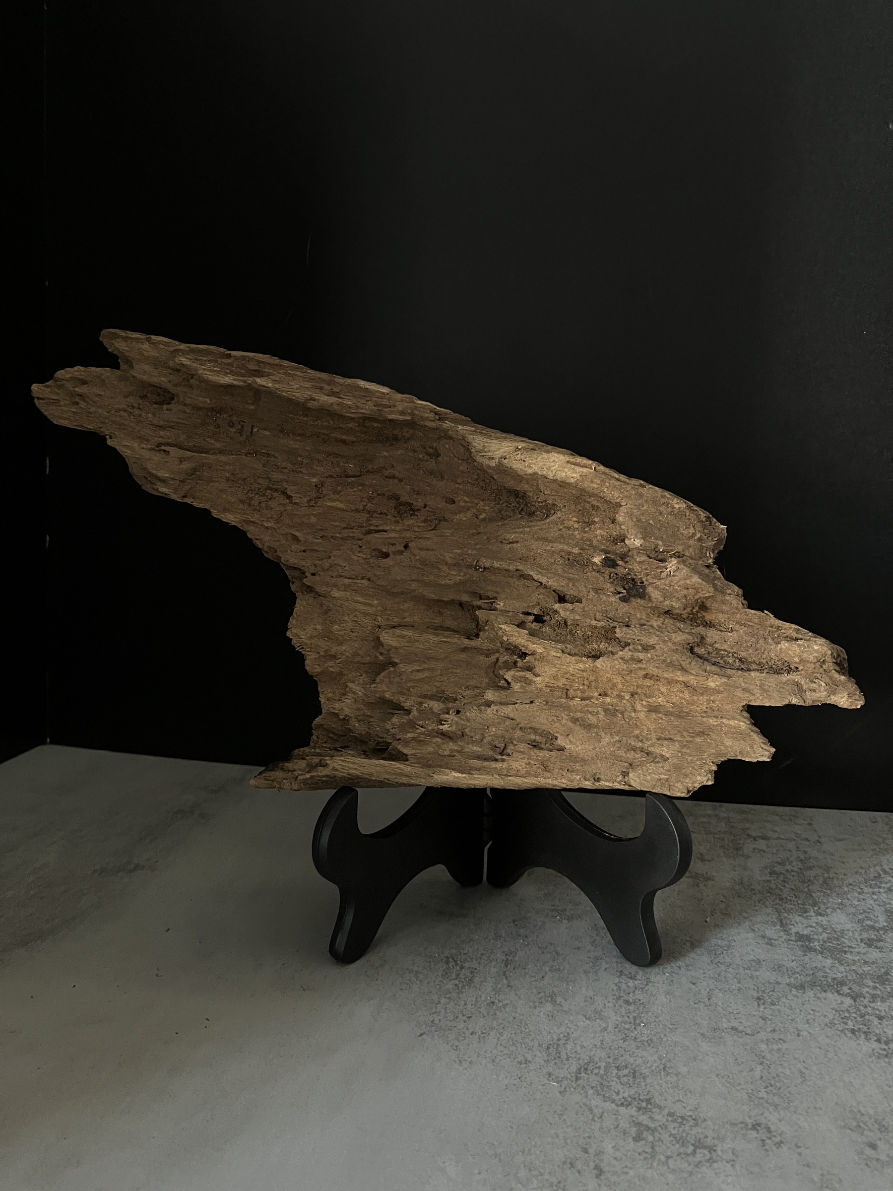 image_9100FC50-9284-40CB-B15E-063F48BA4541_1770104841