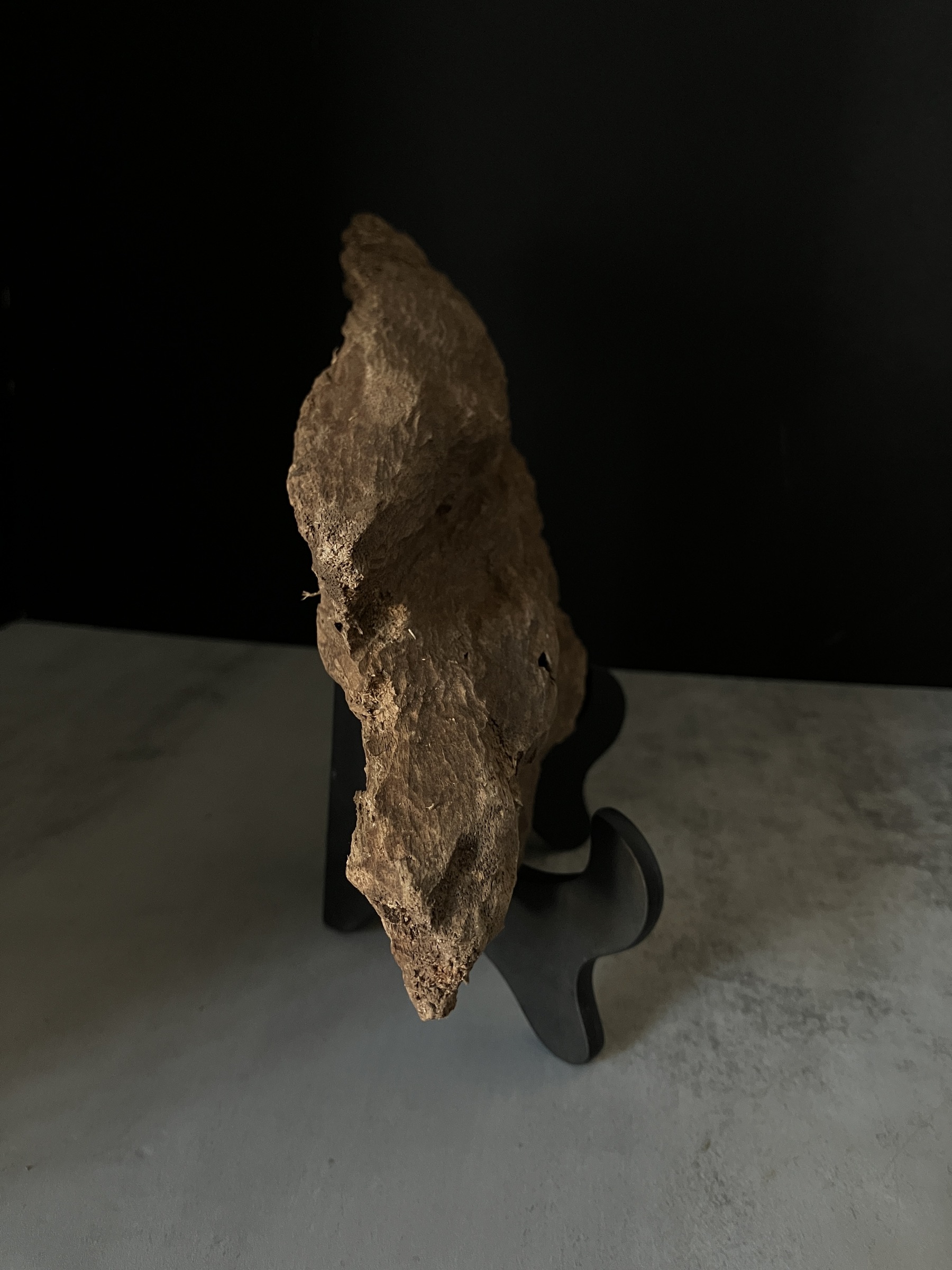 image_CA795106-537A-4AC9-B807-9F47D131F7E3_1770104841