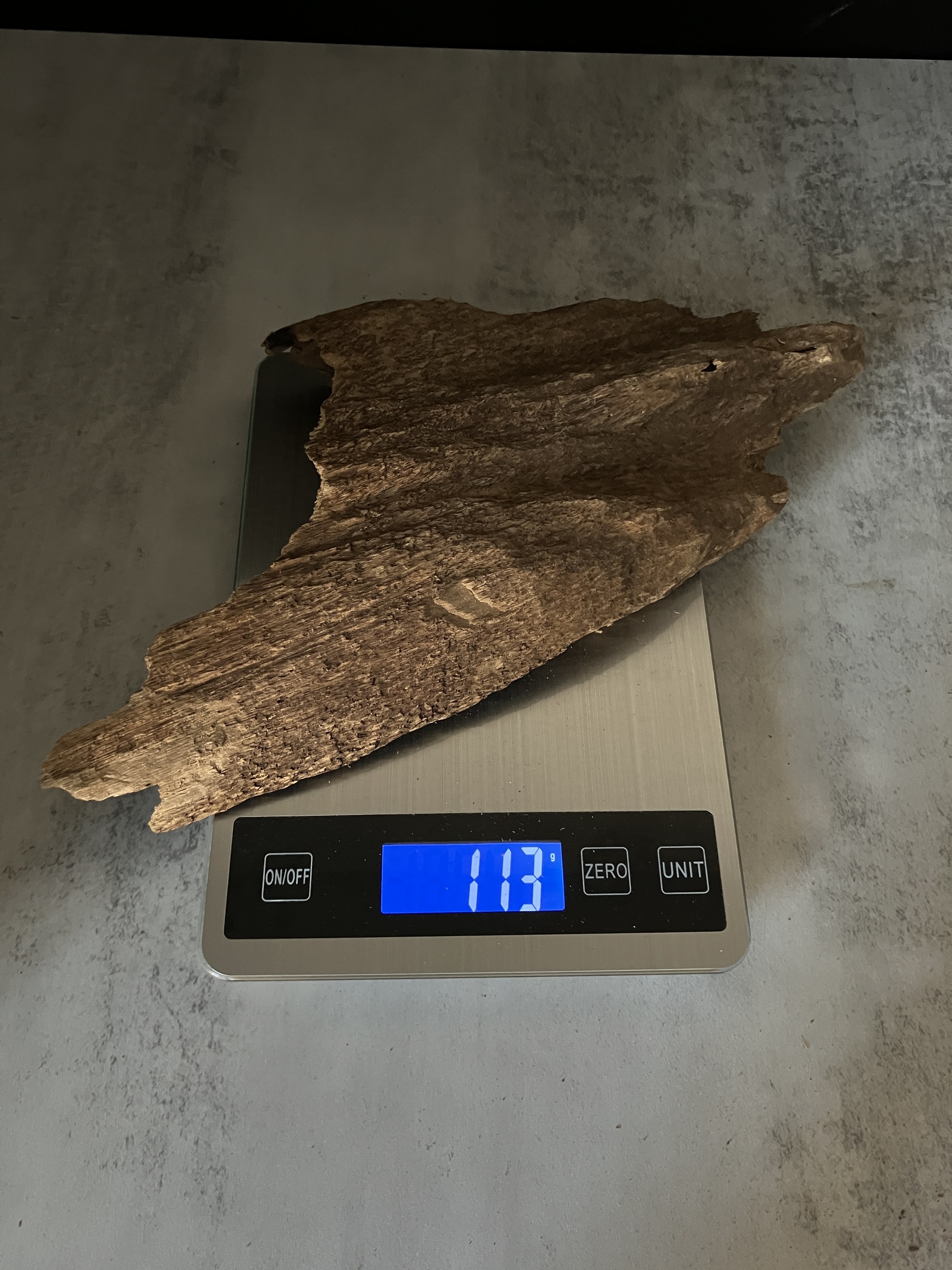 image_2BCC6B41-0AD7-4631-A106-DD63752F8DFA_1770104841