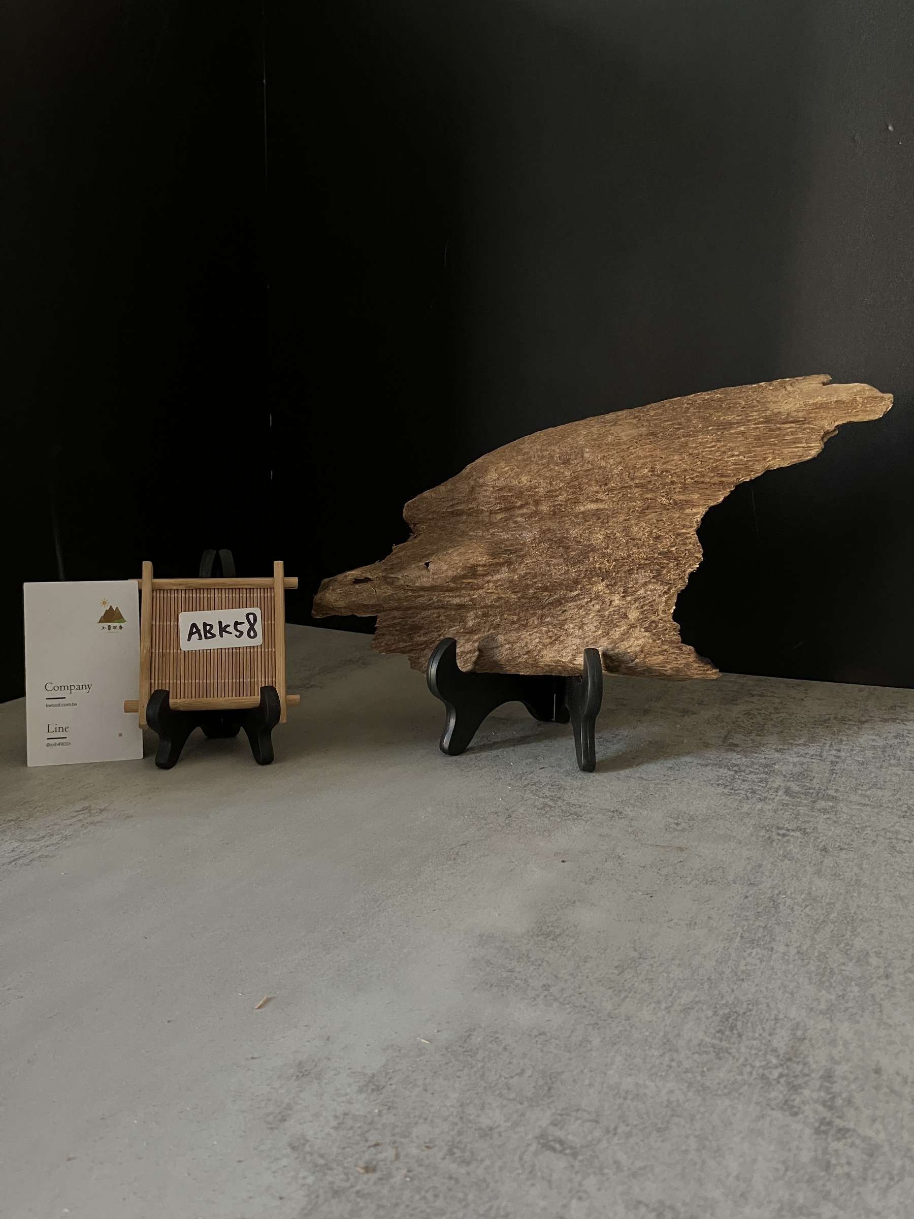 image_384E3666-C593-4183-AD8D-4AEC80100C2F_1770104841