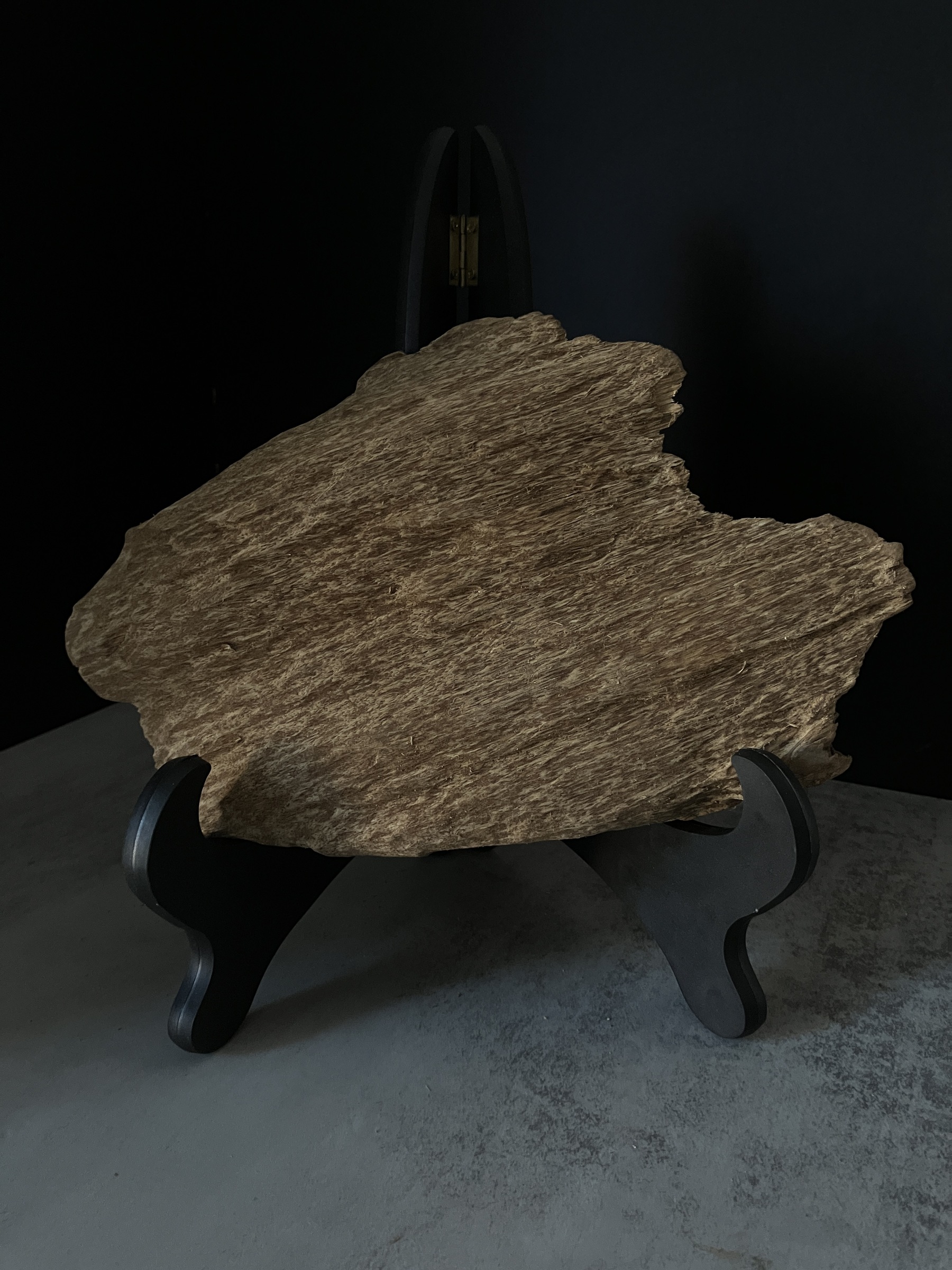 image_CBCC7ED0-148C-4FC8-8688-4B7053F886A3_1770104933