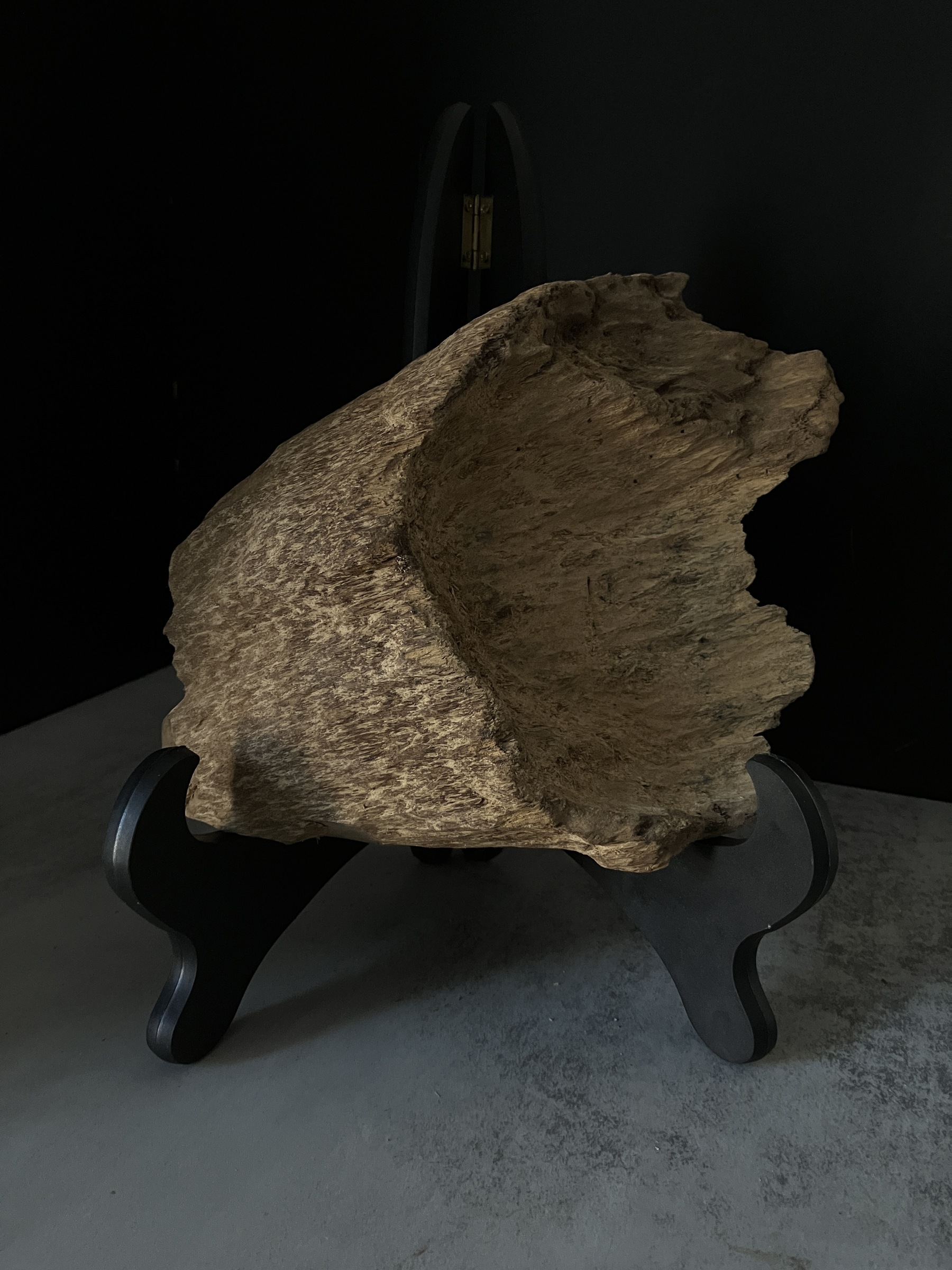 image_0AA9C4E0-4841-4491-B15E-E2F624EA0277_1770104933