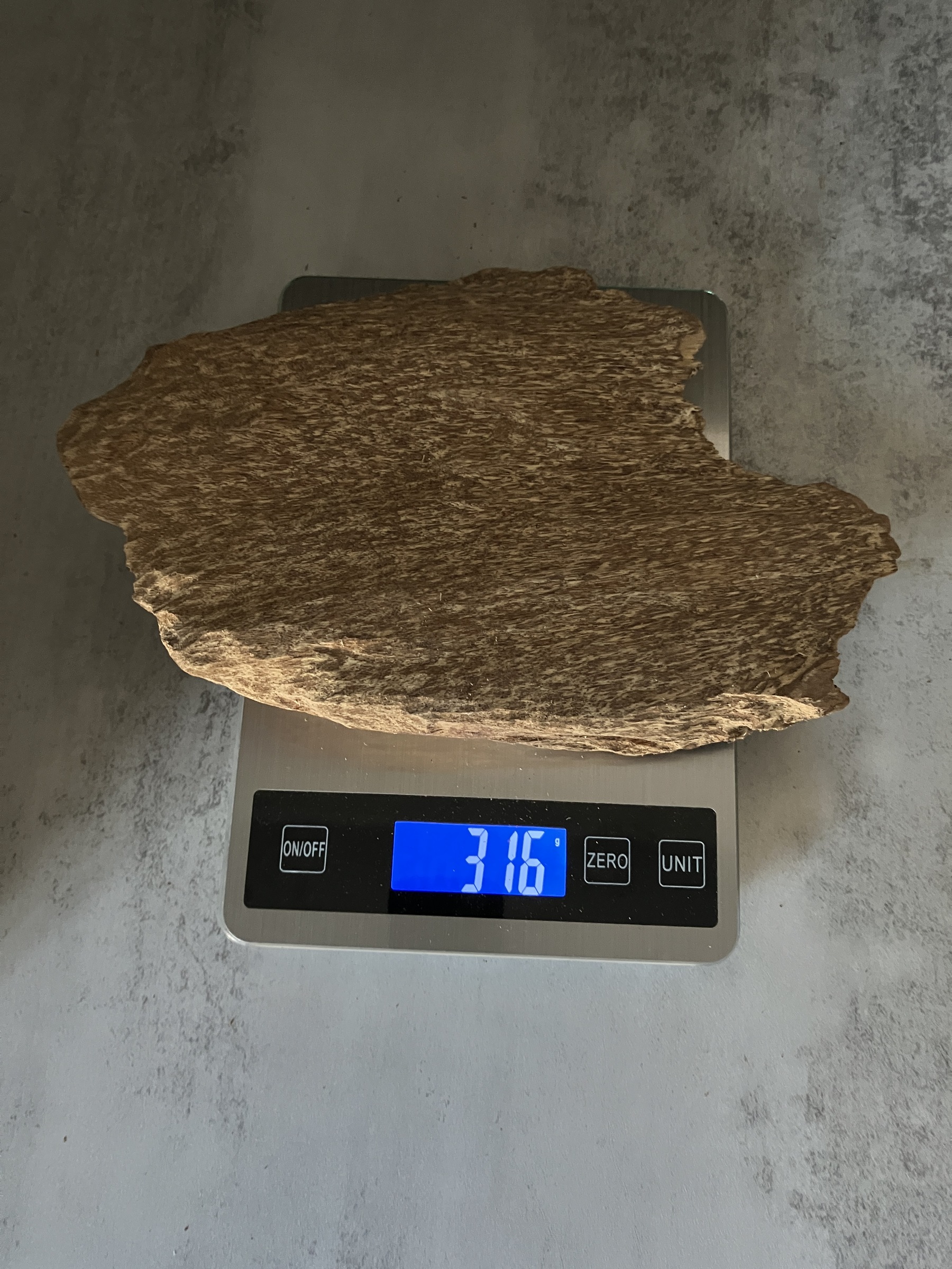 image_014DD93E-D3F2-46C3-B24F-7F295167B8FA_1770104933