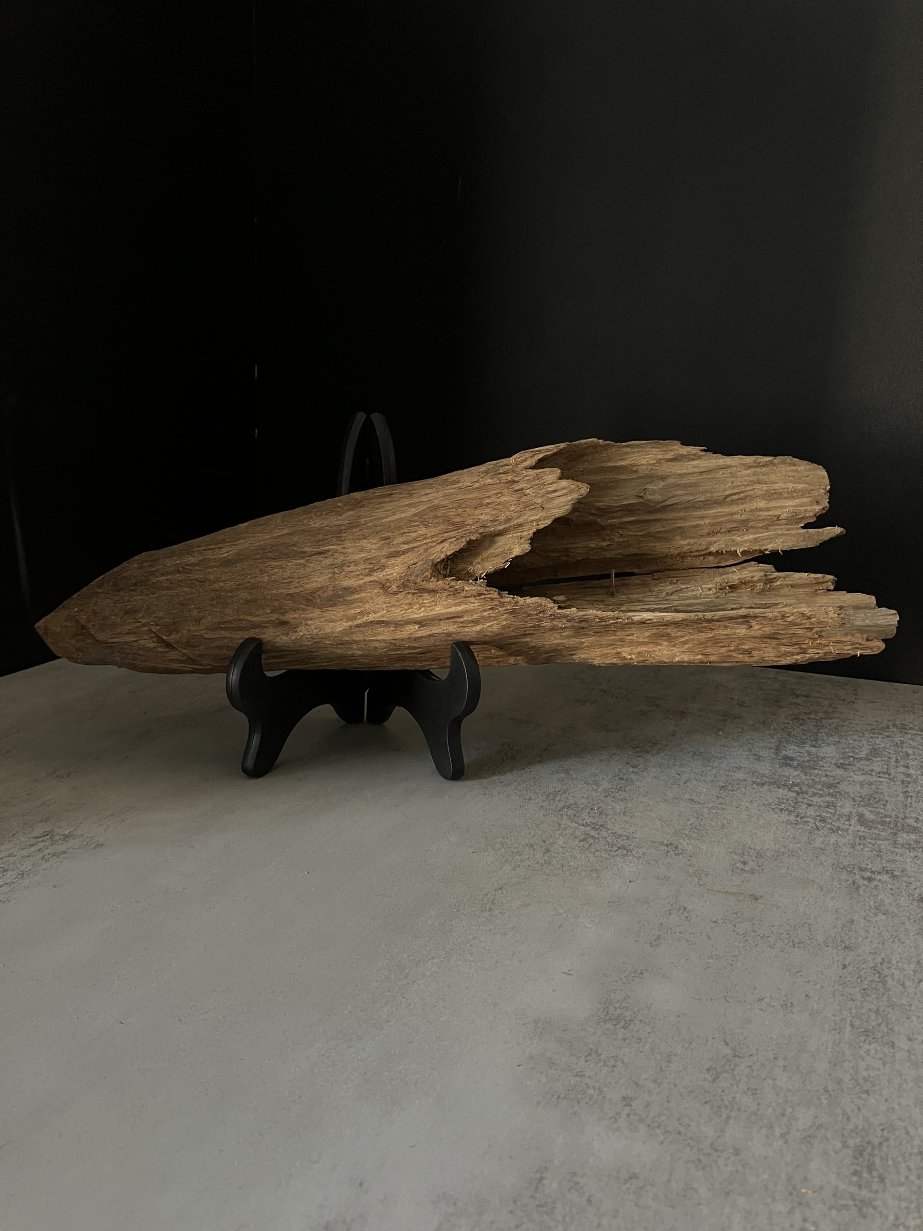 image_2D9A3455-856C-4201-91F0-8C4914B79488_1770105020