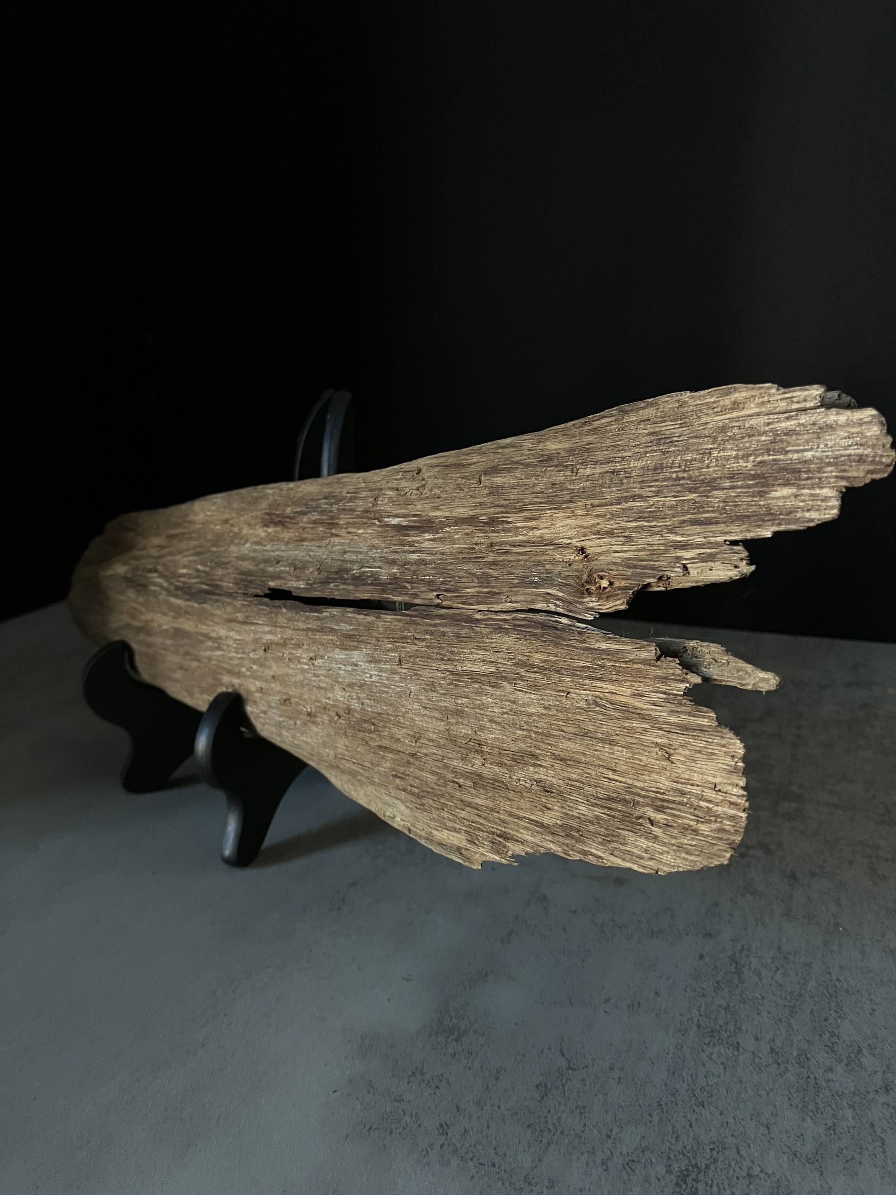 image_9DB7EA97-53C7-4ECD-8D27-883FDE0061B7_1770105020