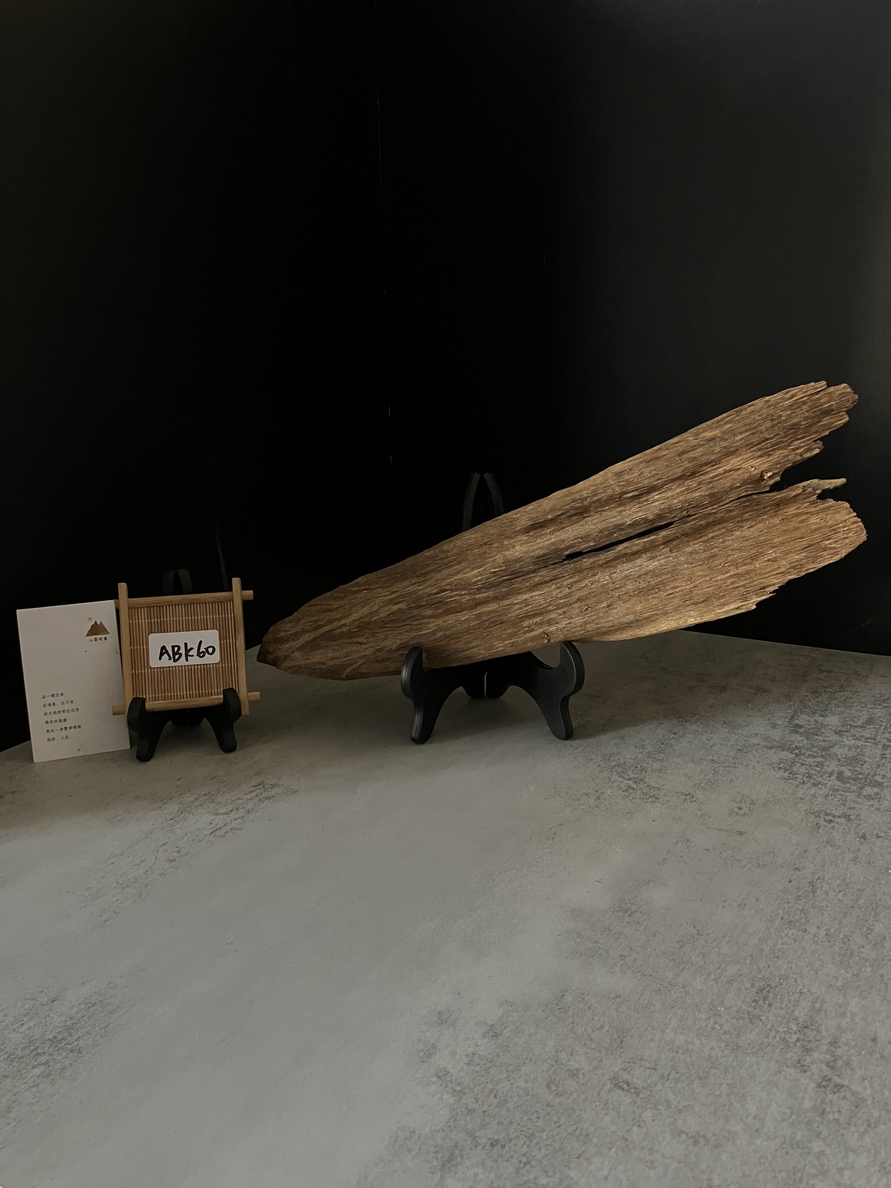 image_7E6B9AD5-2679-471D-BCE4-FA0F71A4F506_1770105020