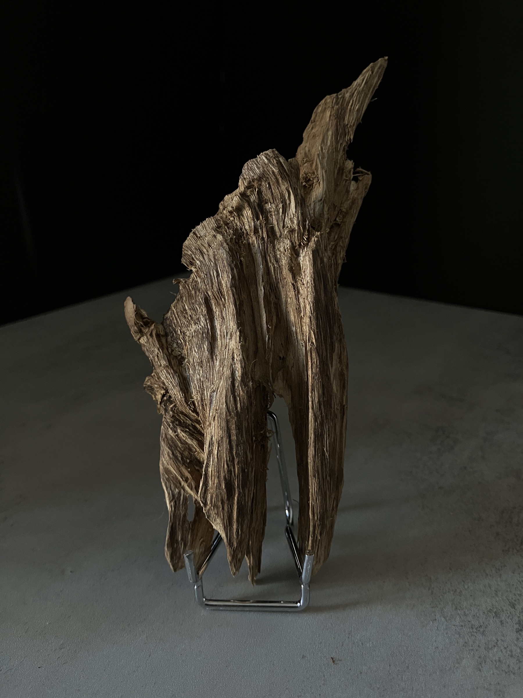 image_9CE72276-8D8C-464C-AD0B-B0388D66A7E9_1770105135