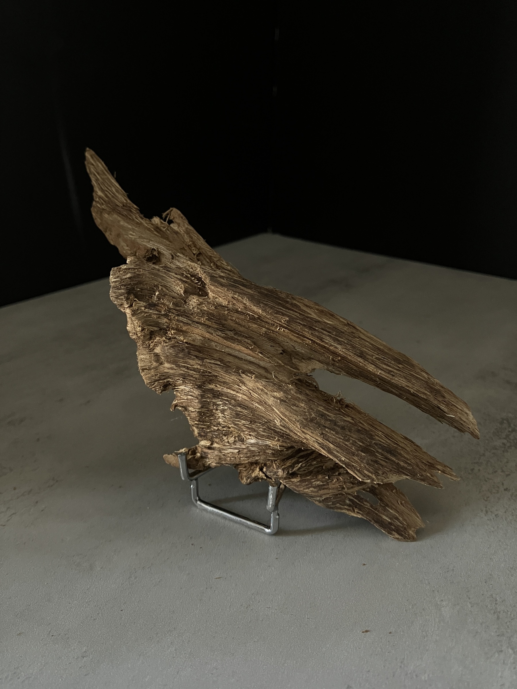 image_989A4D83-F796-4FF2-92B5-DADD6DC5A5D7_1770105135