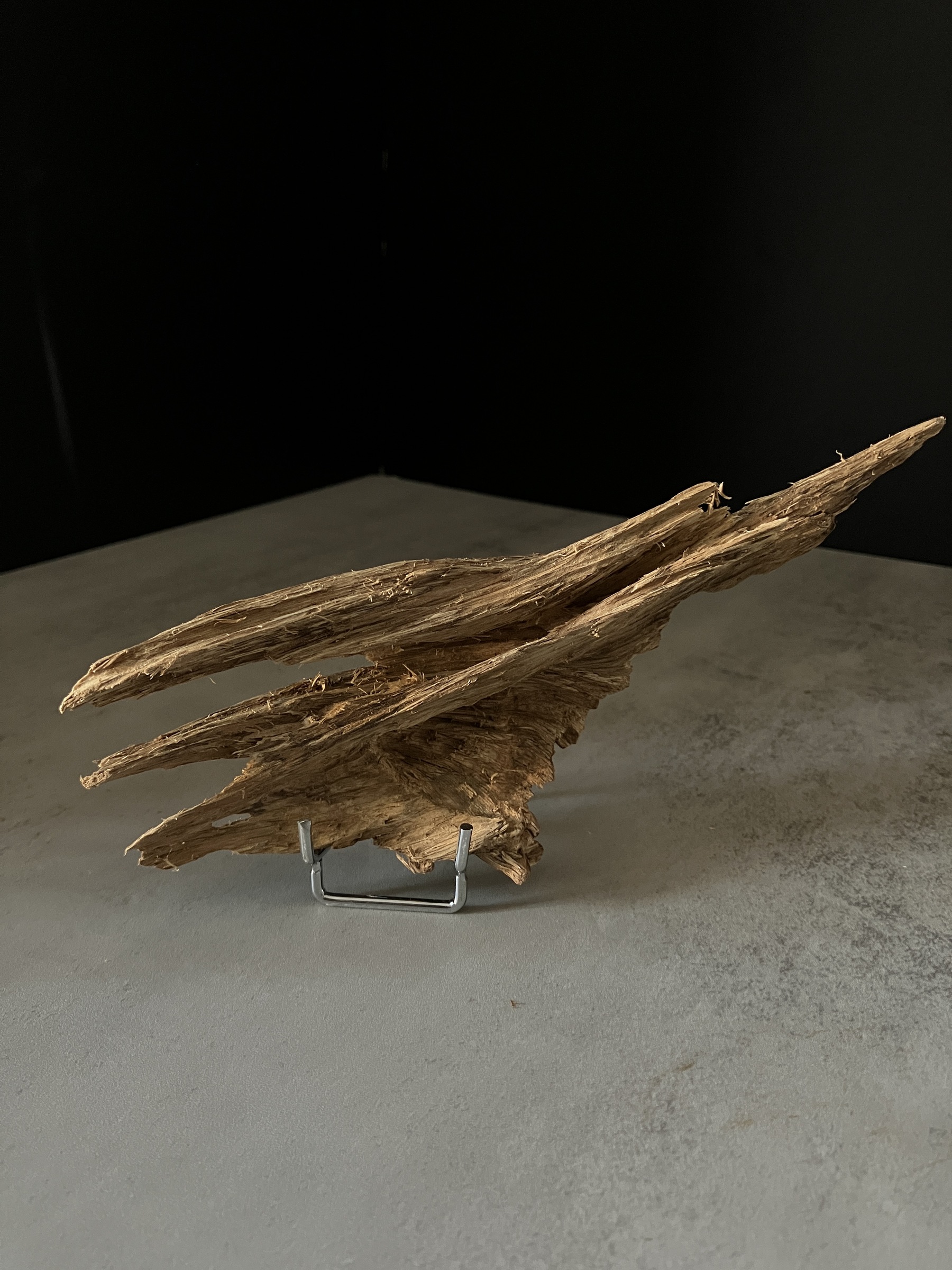 image_08D0AE95-49DB-450E-B8D8-BEADD4B00C8F_1770105135