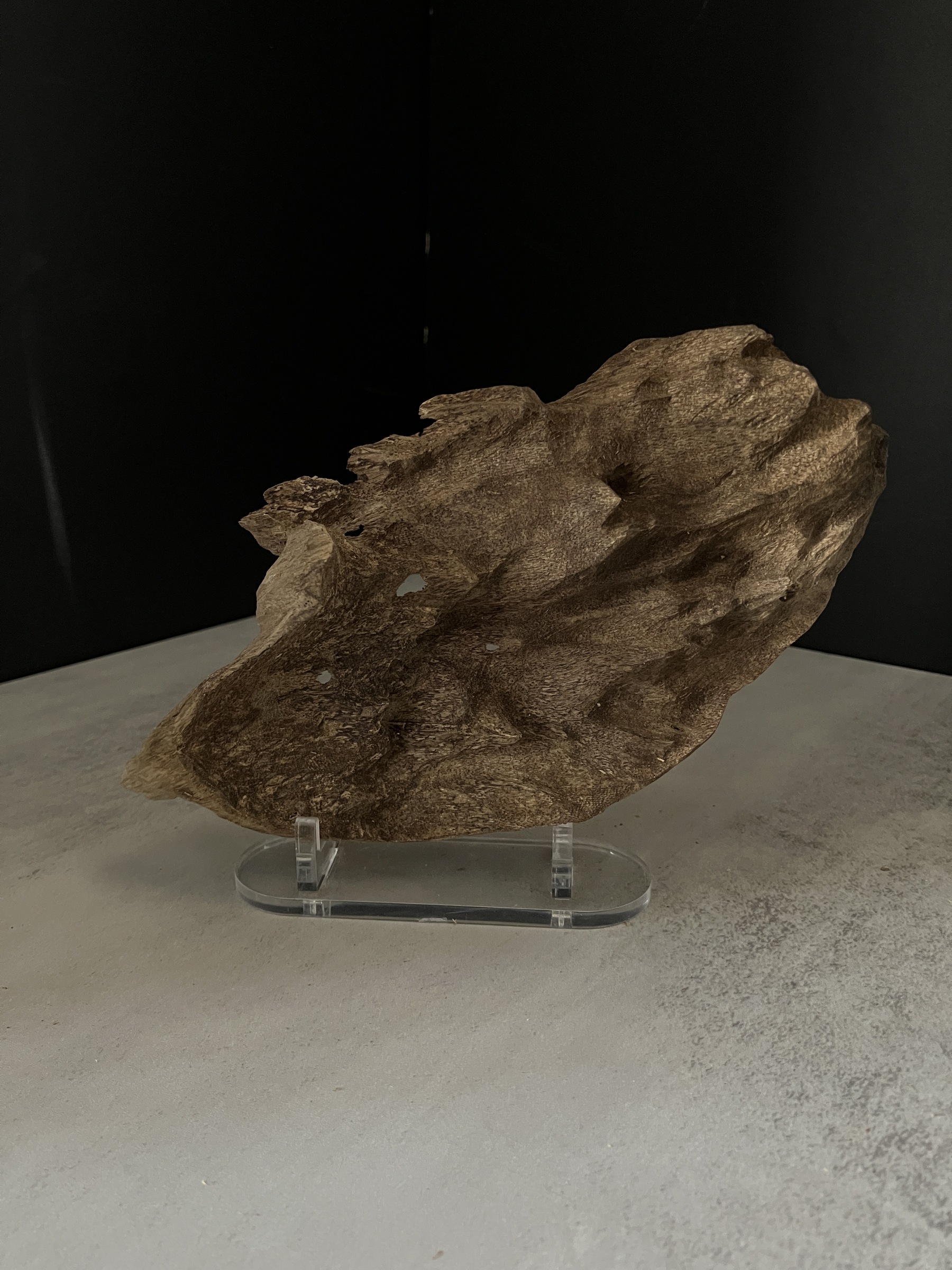 image_C8BD863F-8AC5-471D-9254-AFB1809A4091_1770105252