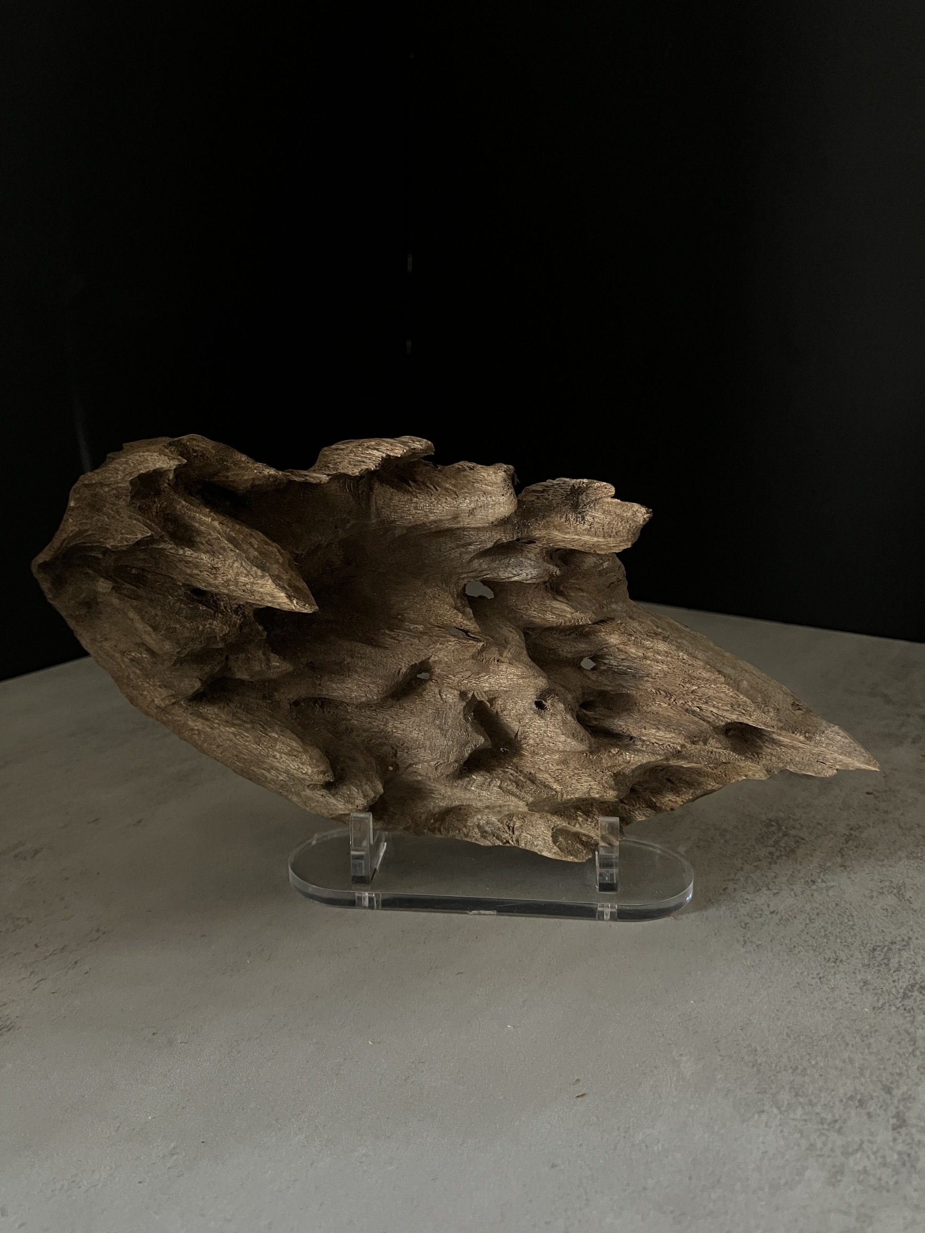 image_2D5E2119-C19B-4C82-B928-0D33C8B3B3F8_1770105252