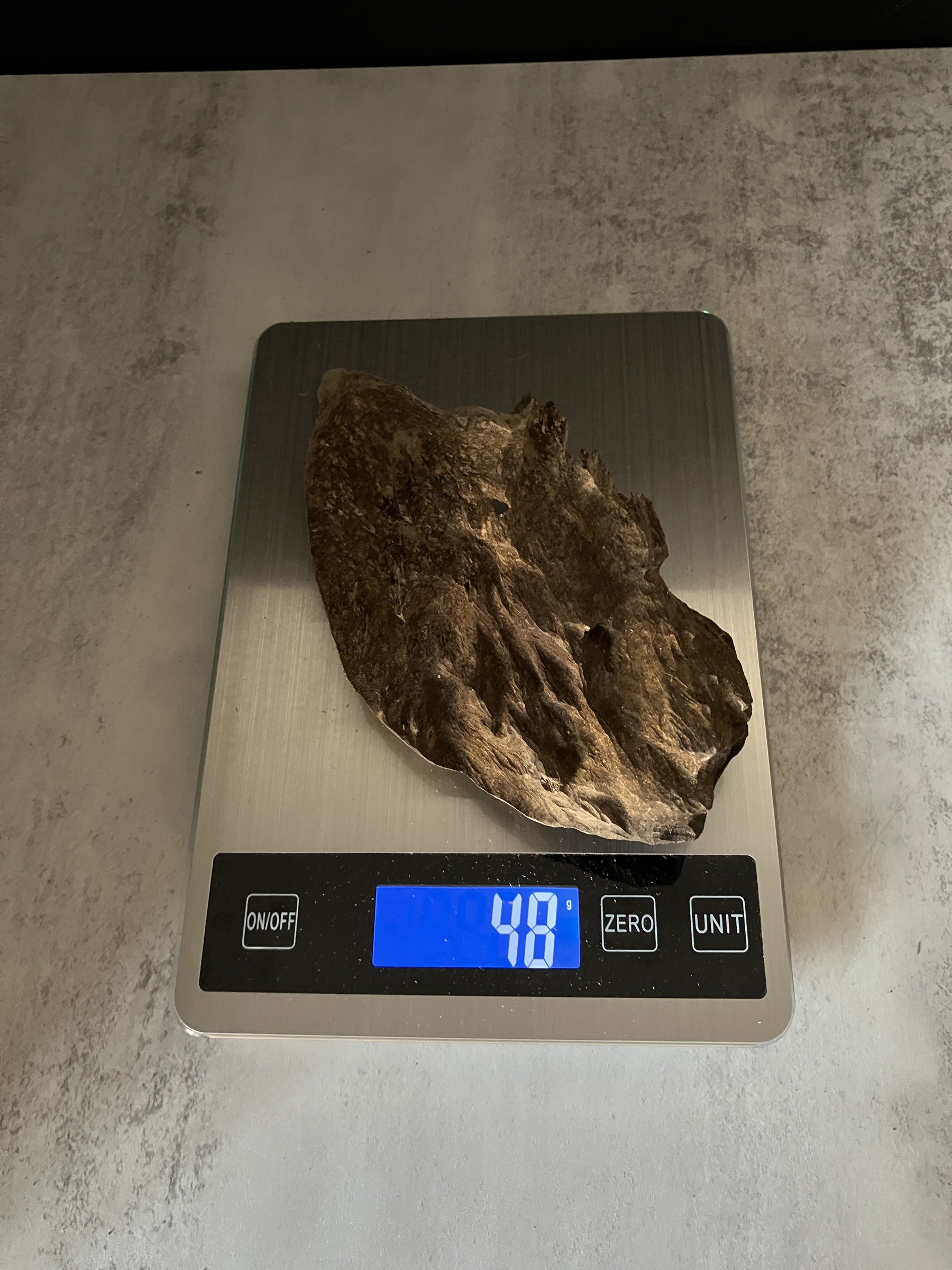 image_C14BDB2E-45C0-42B6-B5FD-2BEBD28F3439_1770105252