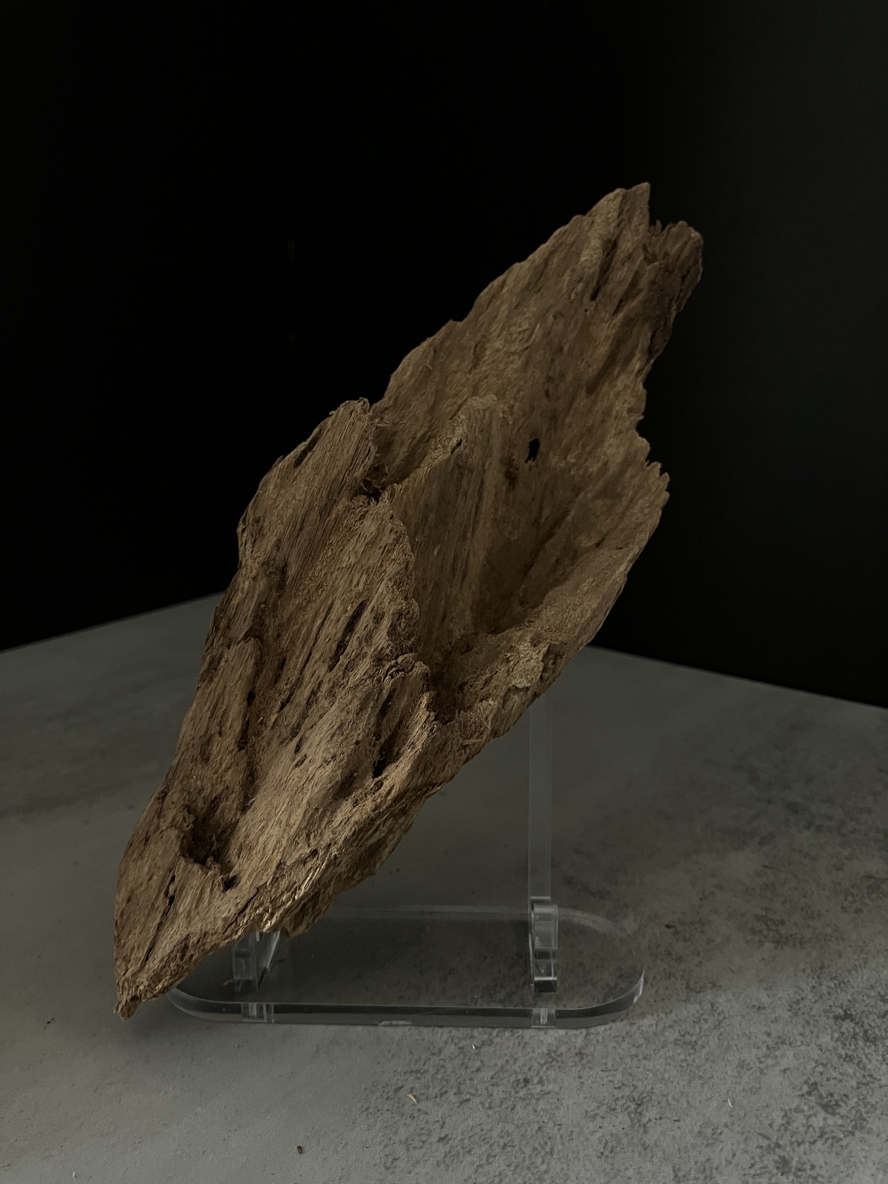 image_36DB06BA-83D8-4E7B-ADCA-7F97CD79165B_1770105349