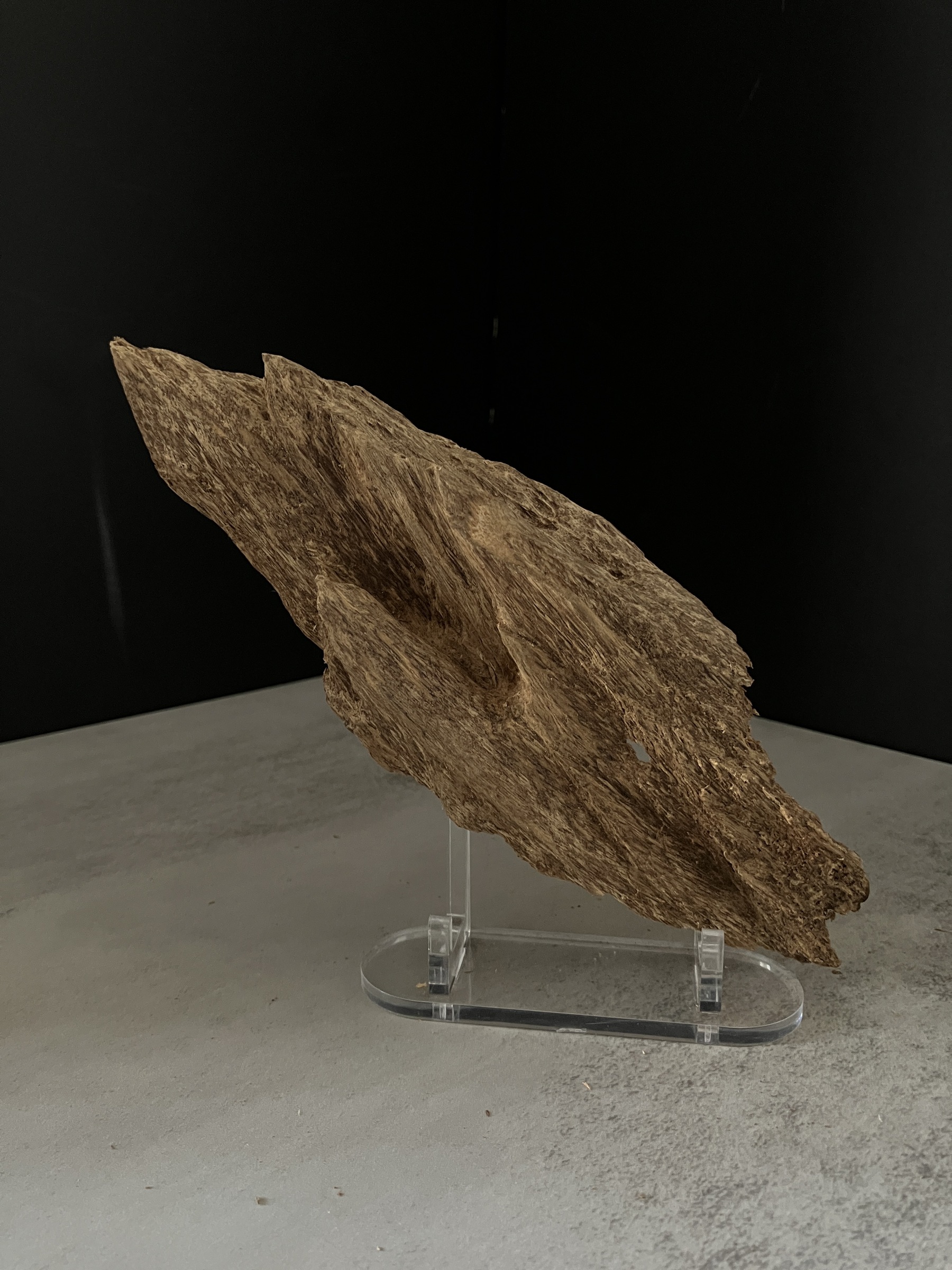 image_ACCBEE81-FE1C-40C1-9916-BB9866B861B2_1770105349