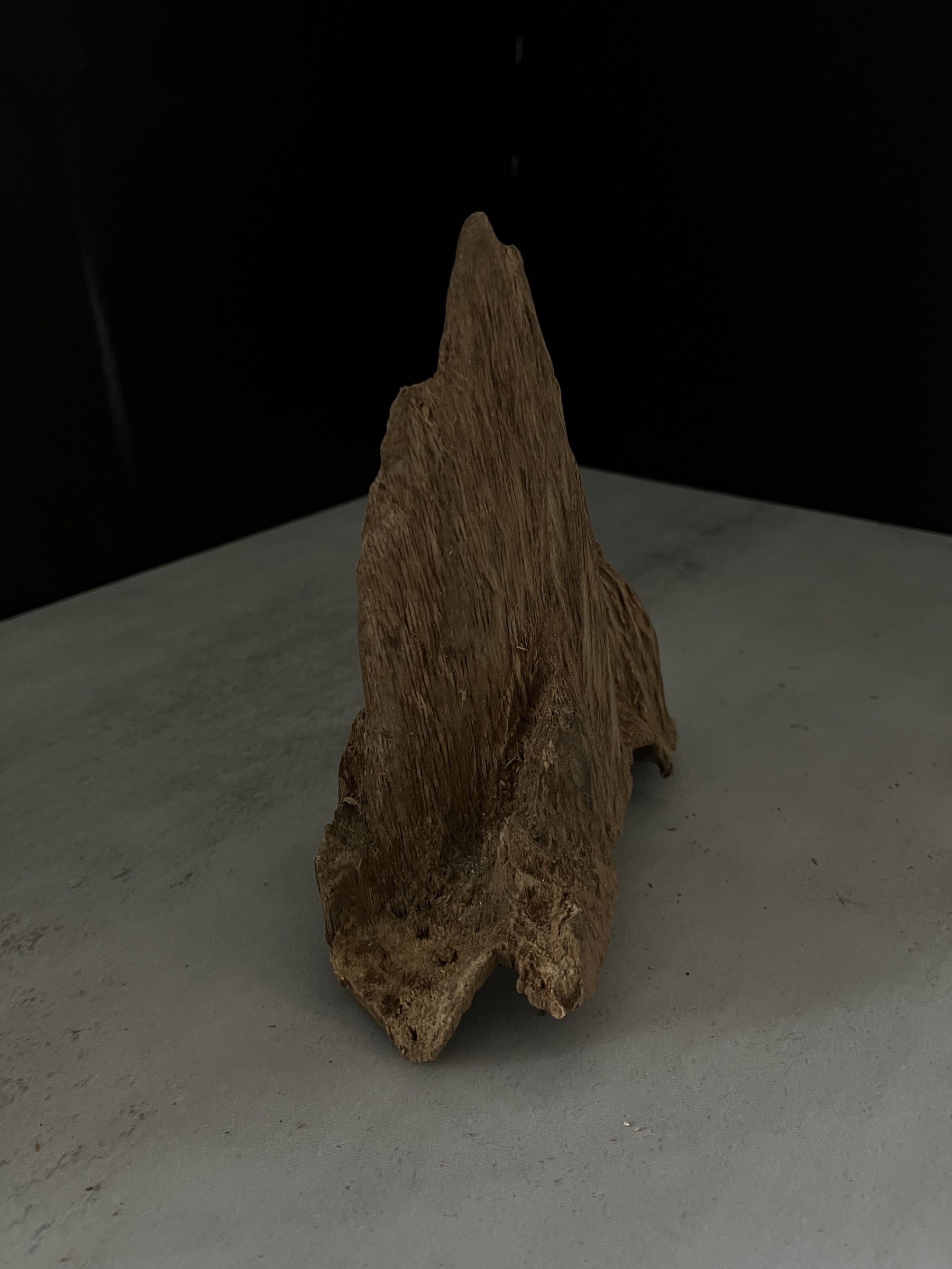 image_7D48FE5B-A895-48BC-A031-EC796BD1BEFE_1770105427