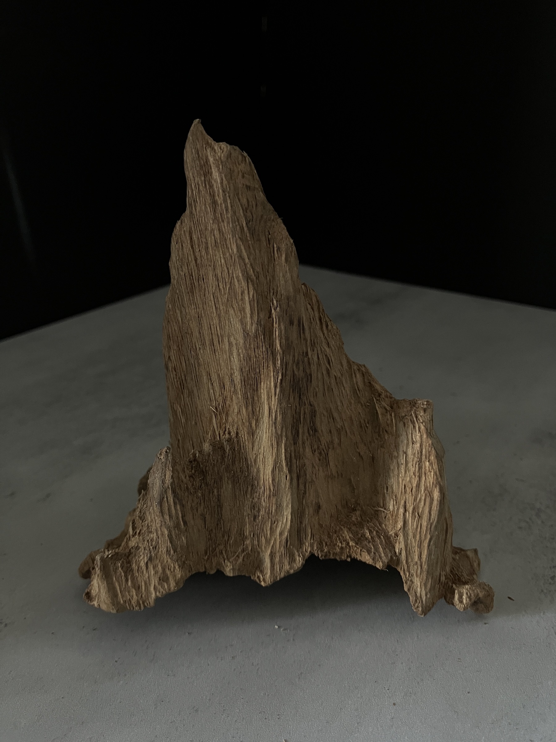 image_0BD8ECF4-75B7-4F79-934A-89294605BB67_1770105427