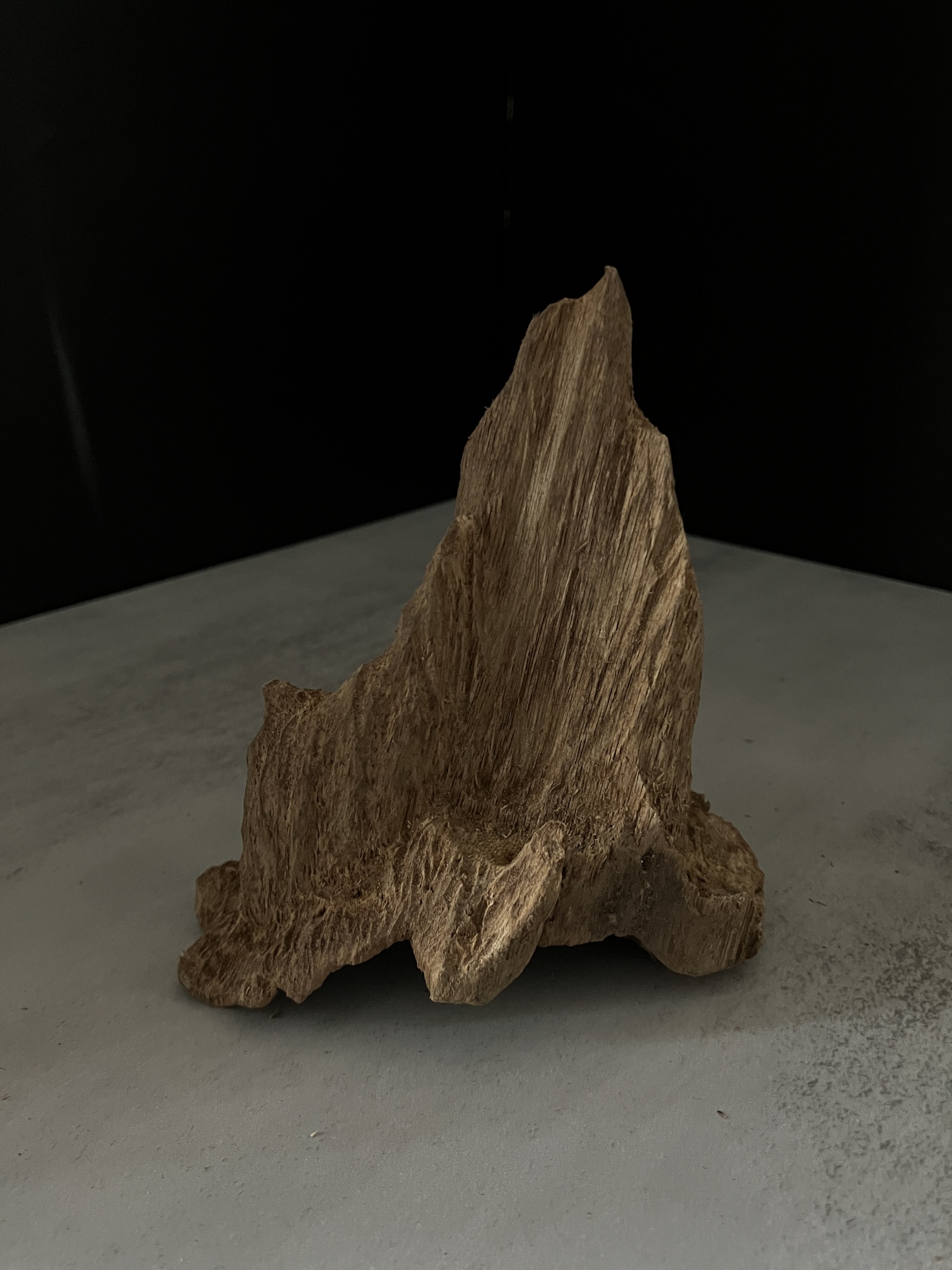 image_60055B2E-3217-4553-8E1D-334789698861_1770105427