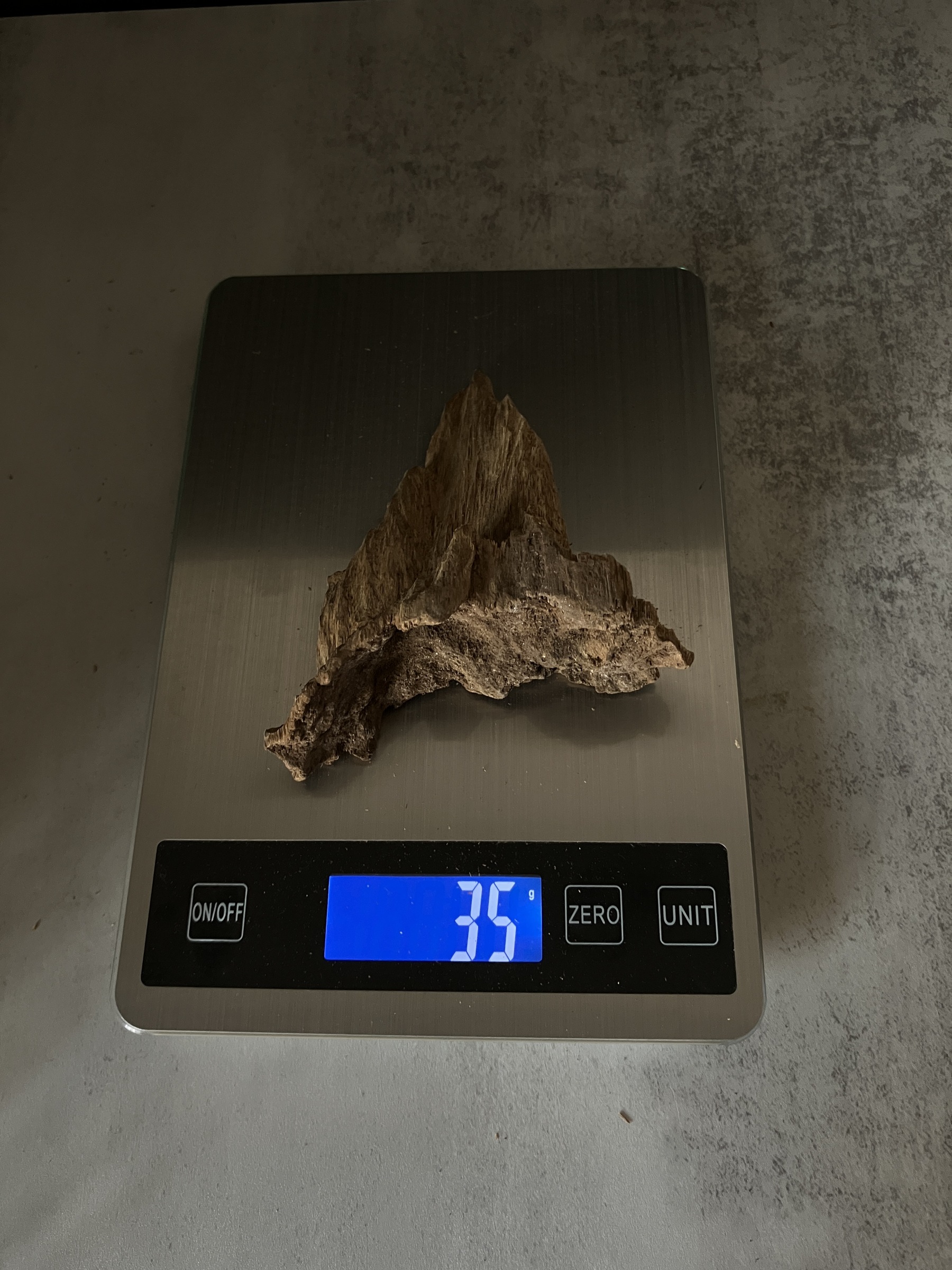 image_F8189689-2E9A-4664-BFC4-2F3291568492_1770105427