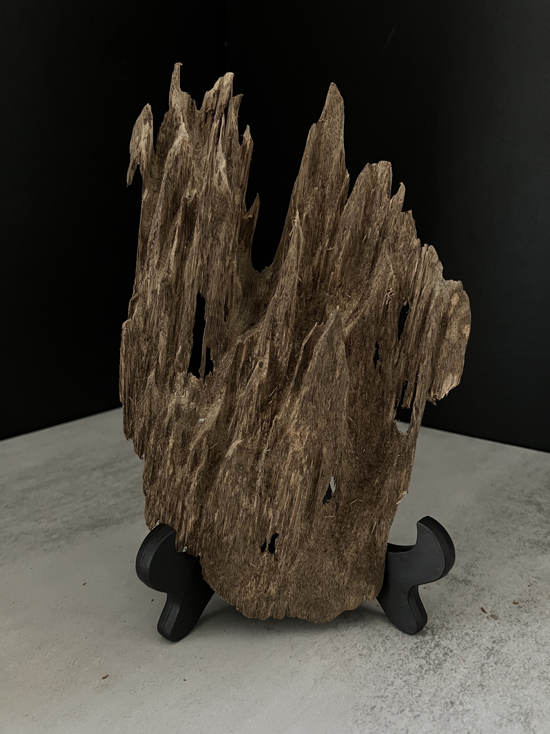 image_DEE771B8-9532-4844-A838-424081C7C3FE_1770105494