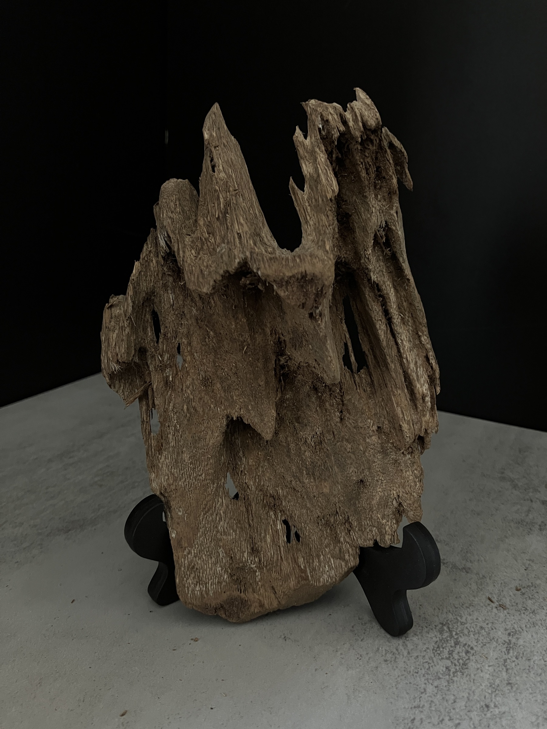 image_E99EF944-9205-451F-AD1B-C19E4AFCC8AD_1770105494