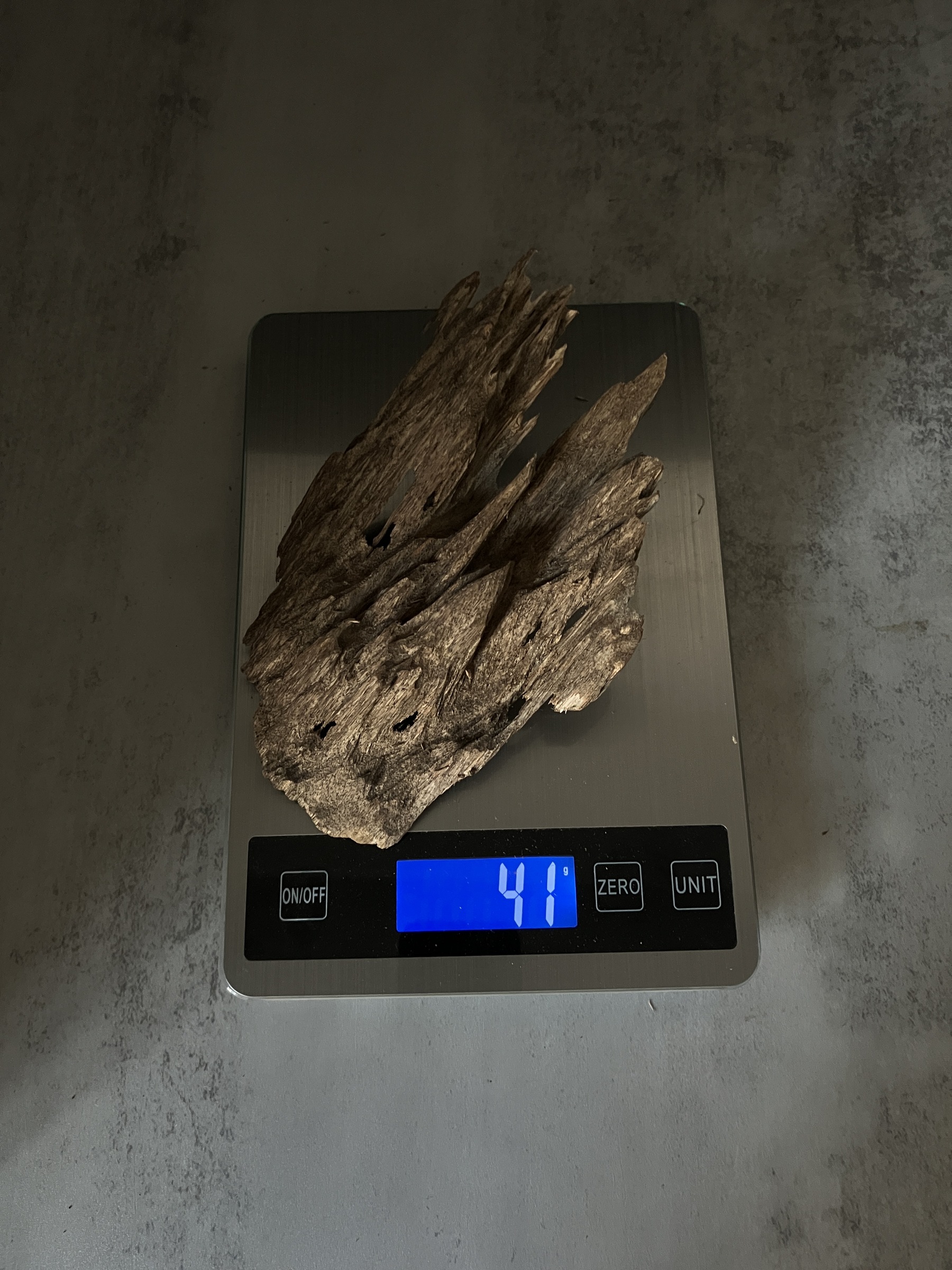 image_1F7003A2-5306-4DC7-A1DA-F2589D51BBC5_1770105494