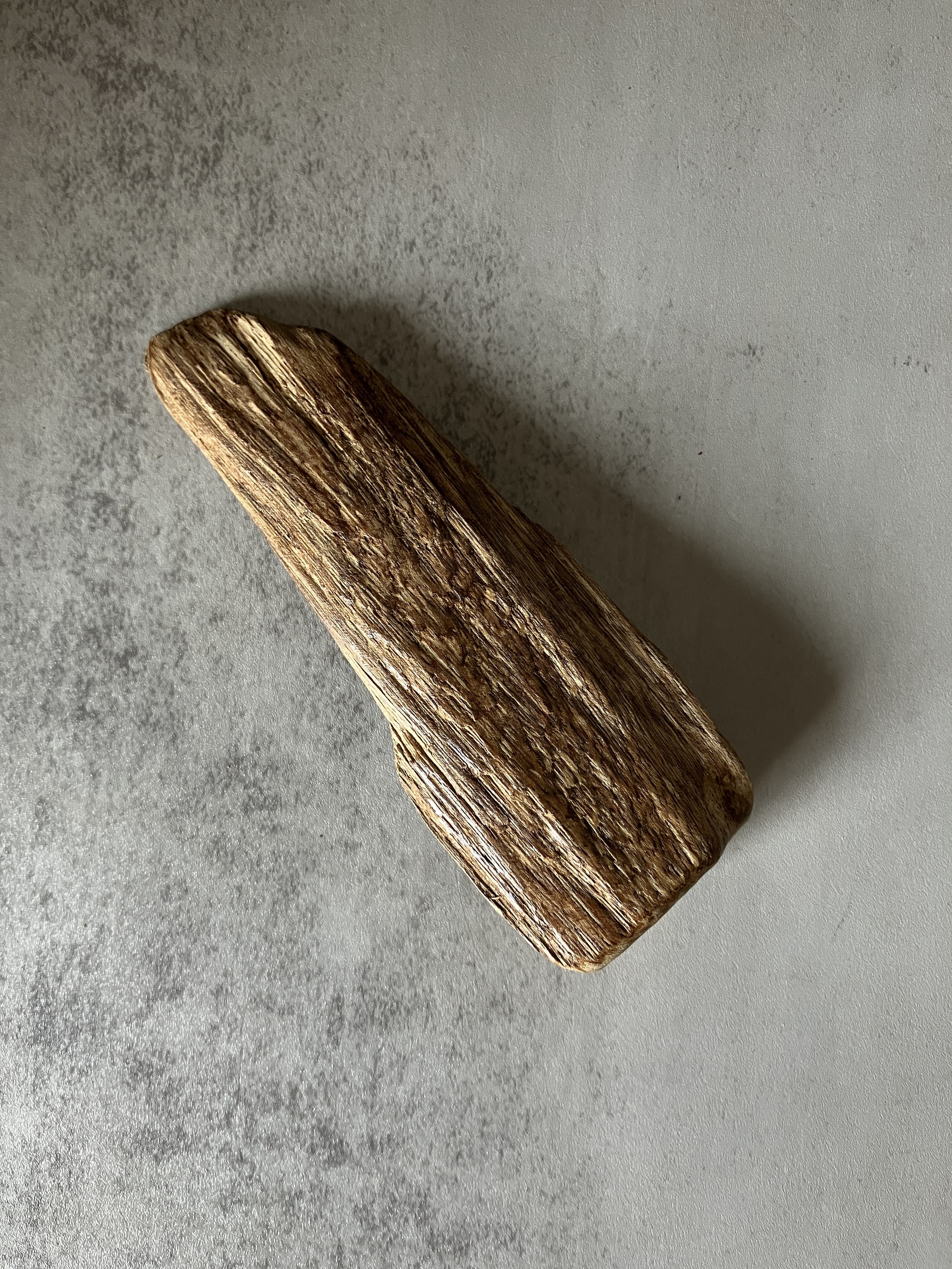 image_9225BB0E-9630-44D3-A99D-3632835C22CA_1770621009