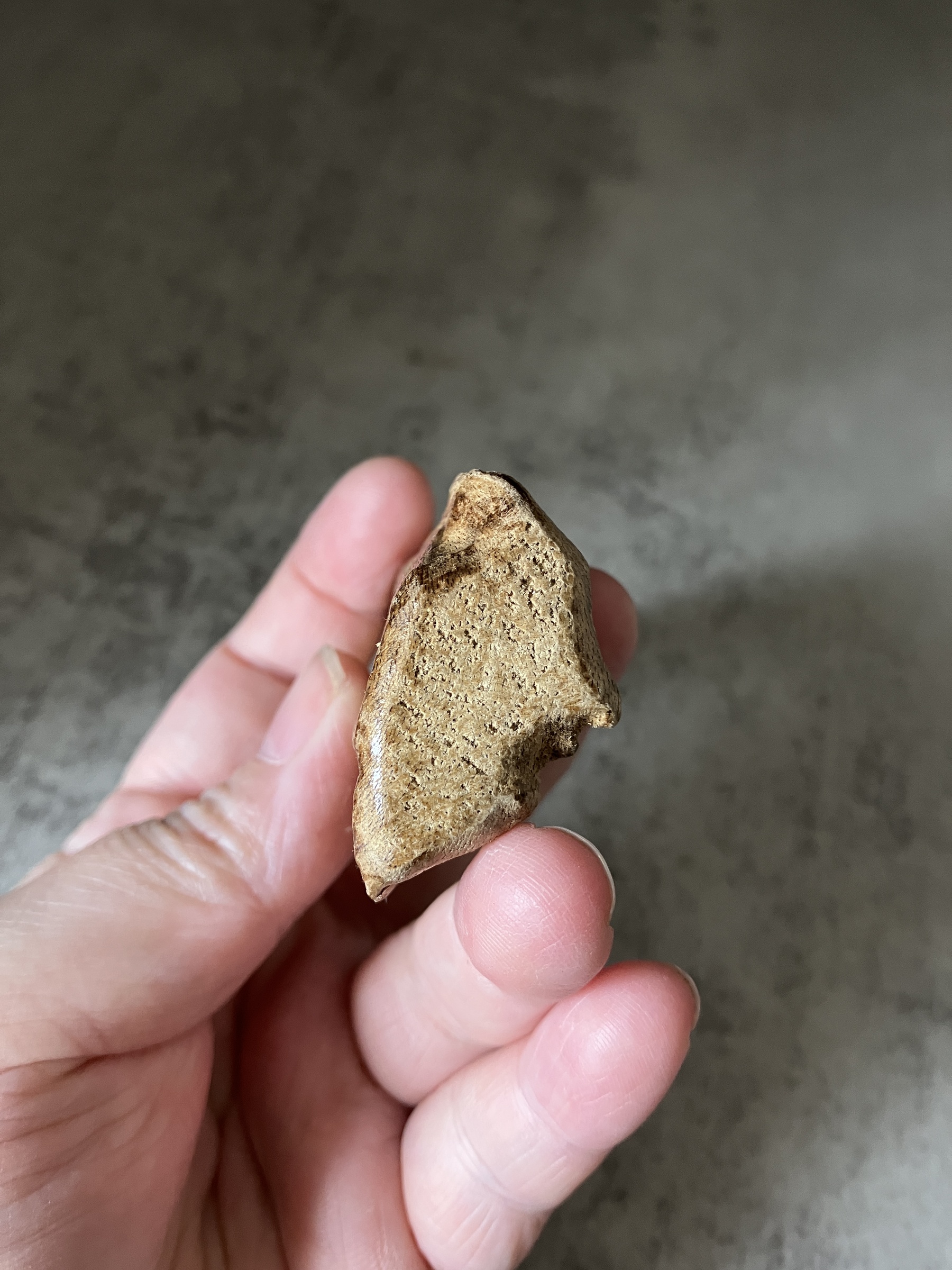 image_A7E395C5-C211-48F0-B821-47DD98BE75AA_1770621009