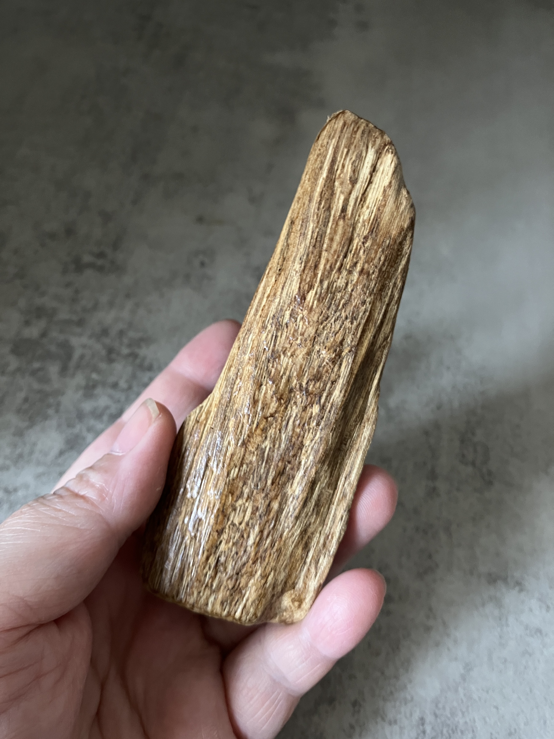 image_B6F66B4B-3CD8-4291-AC05-2565E4800054_1770621009