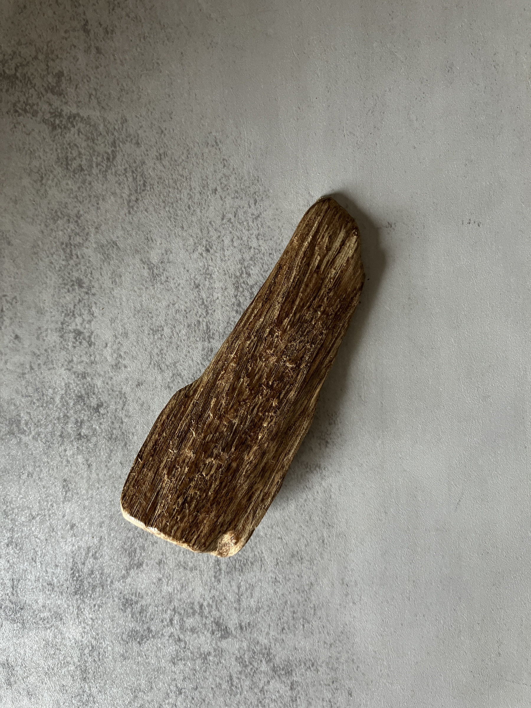 image_080C3417-BBED-4A88-A8CE-D86815D920BC_1770621009