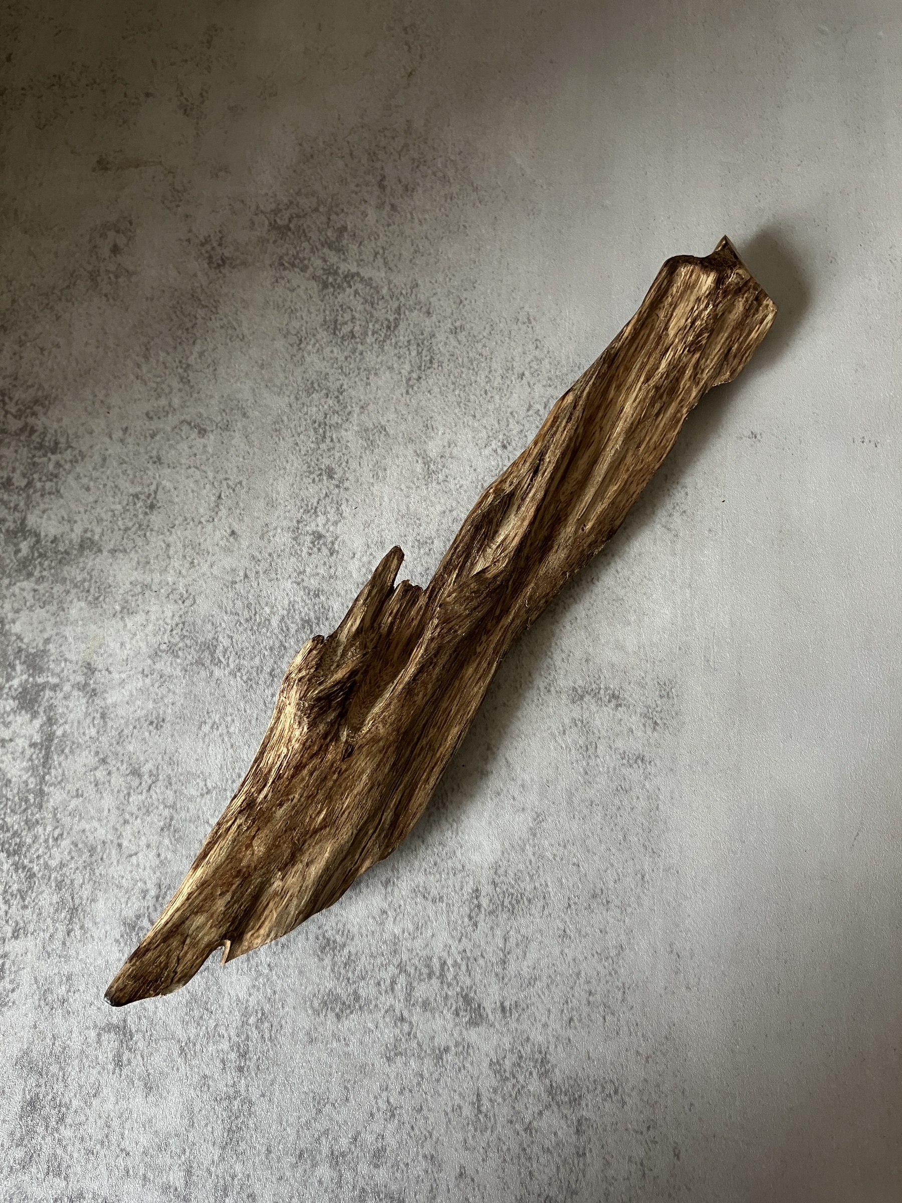 image_795BE29C-CDC0-410F-8503-4C2C5E35B259_1770621101