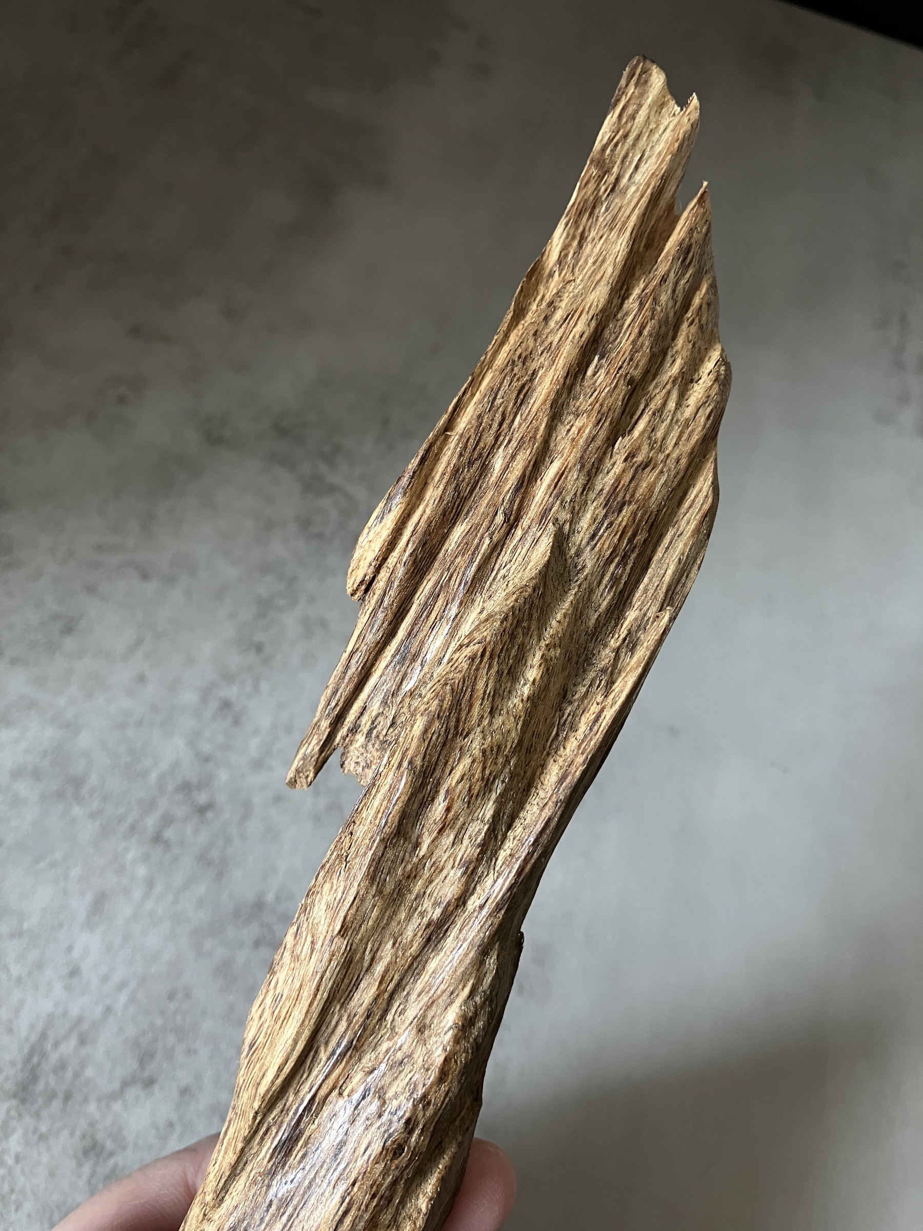 image_3FCF8885-43B5-4222-89CA-8A250694236E_1770621101