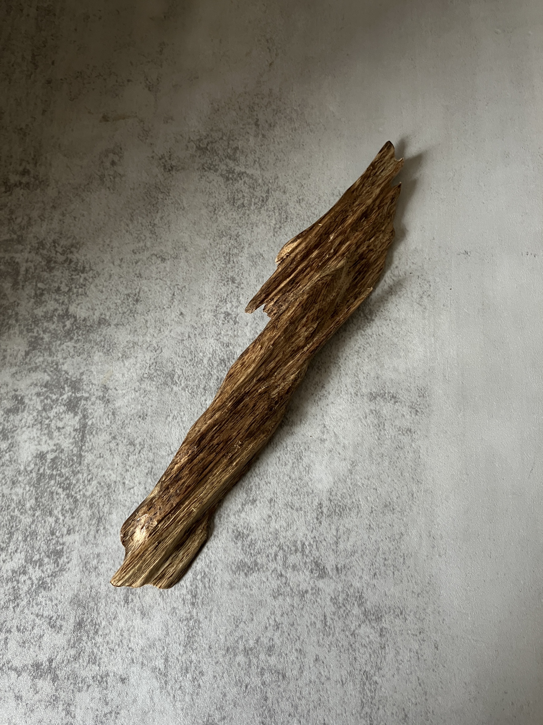 image_8FA52AFC-D4BE-4C42-B24B-40147A6FEB67_1770621101