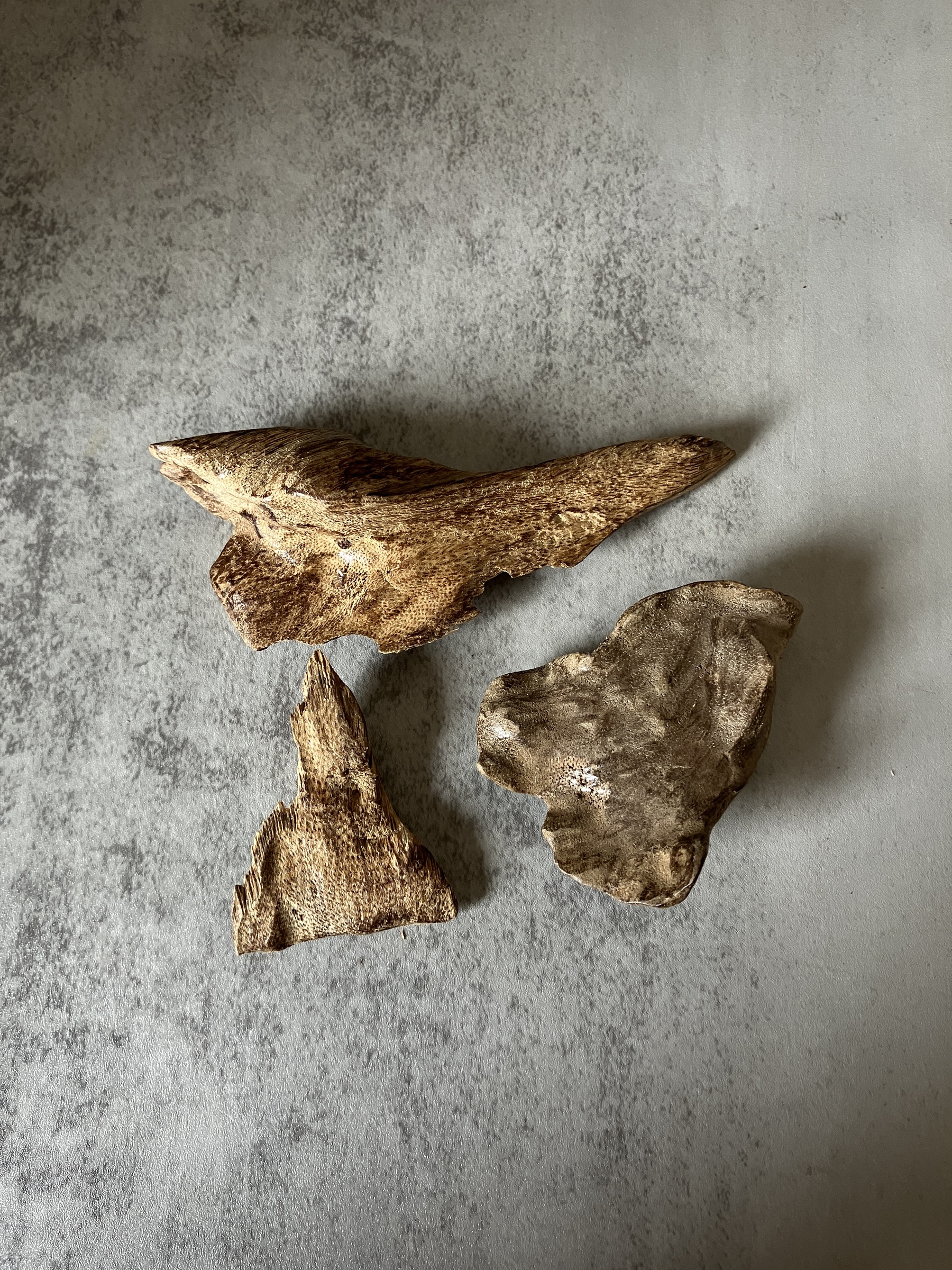 image_BD4EEDB2-585C-4A09-926F-34727C1DCA33_1770621206