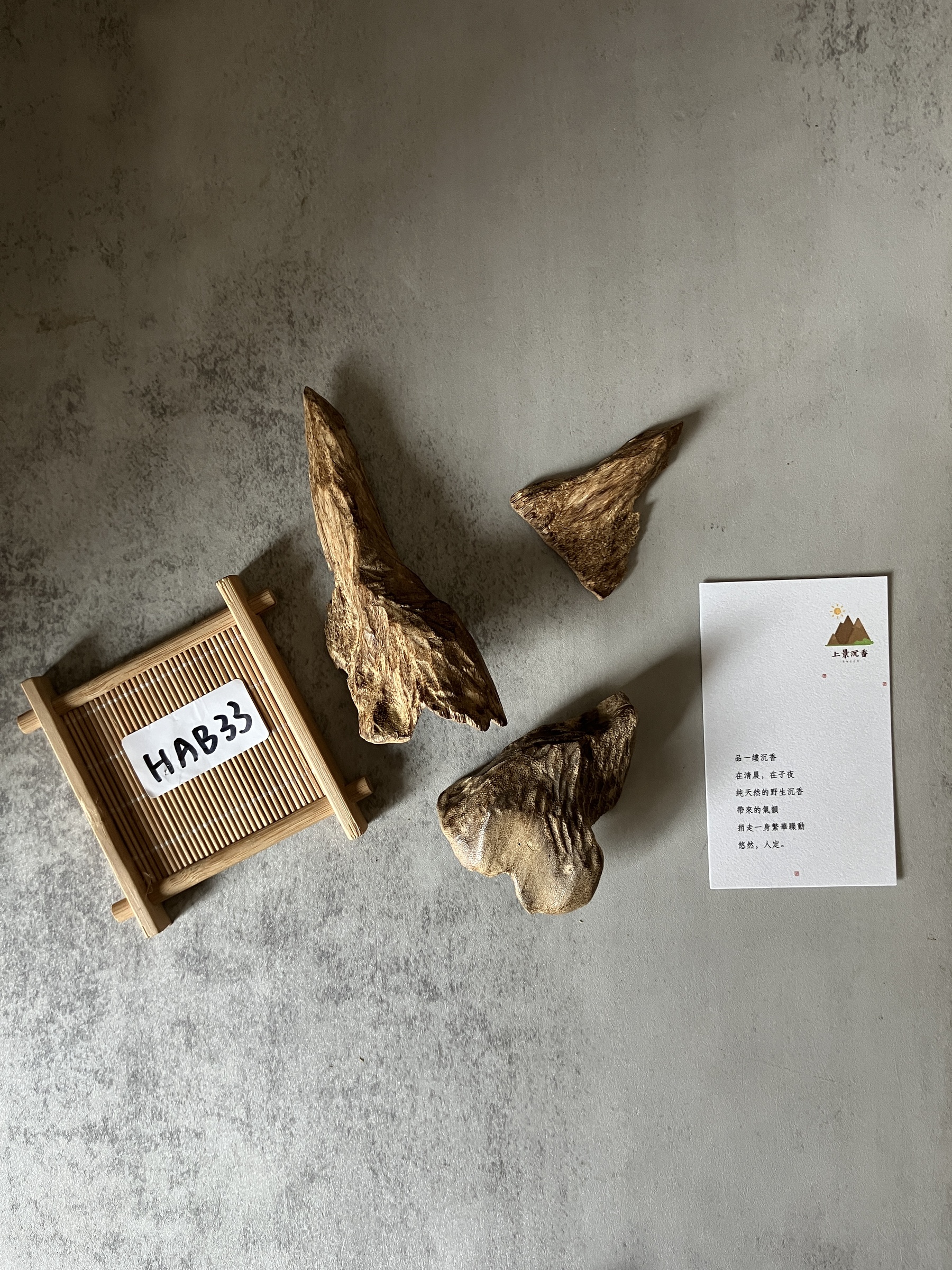 image_7D5549E4-D5BB-4FCD-B029-EC3723E15977_1770621206