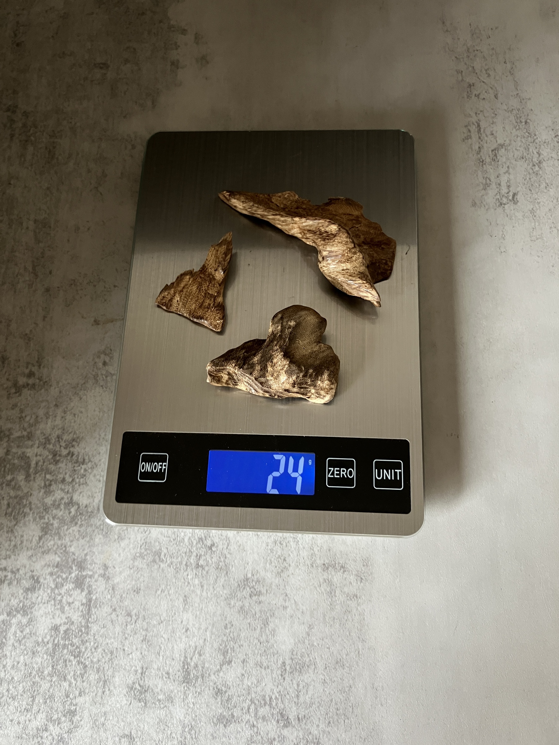 image_2D4F938E-6D5C-4BA2-8326-607762EE246A_1770621206