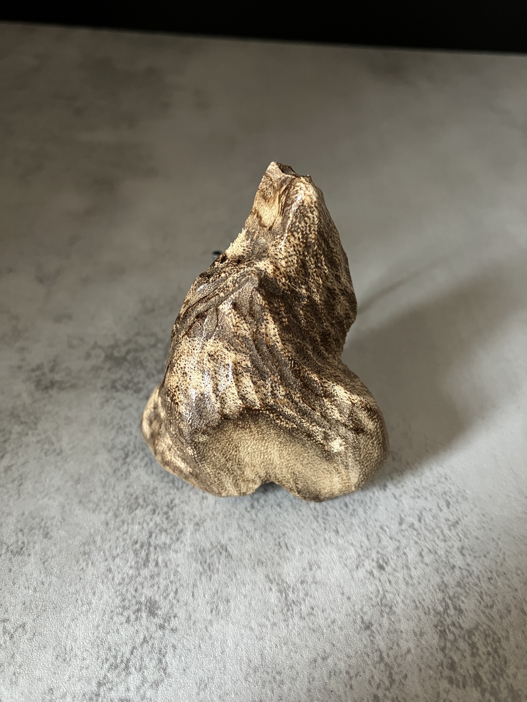 image_43E06073-A843-4E68-A355-A377FF11BC92_1770621206