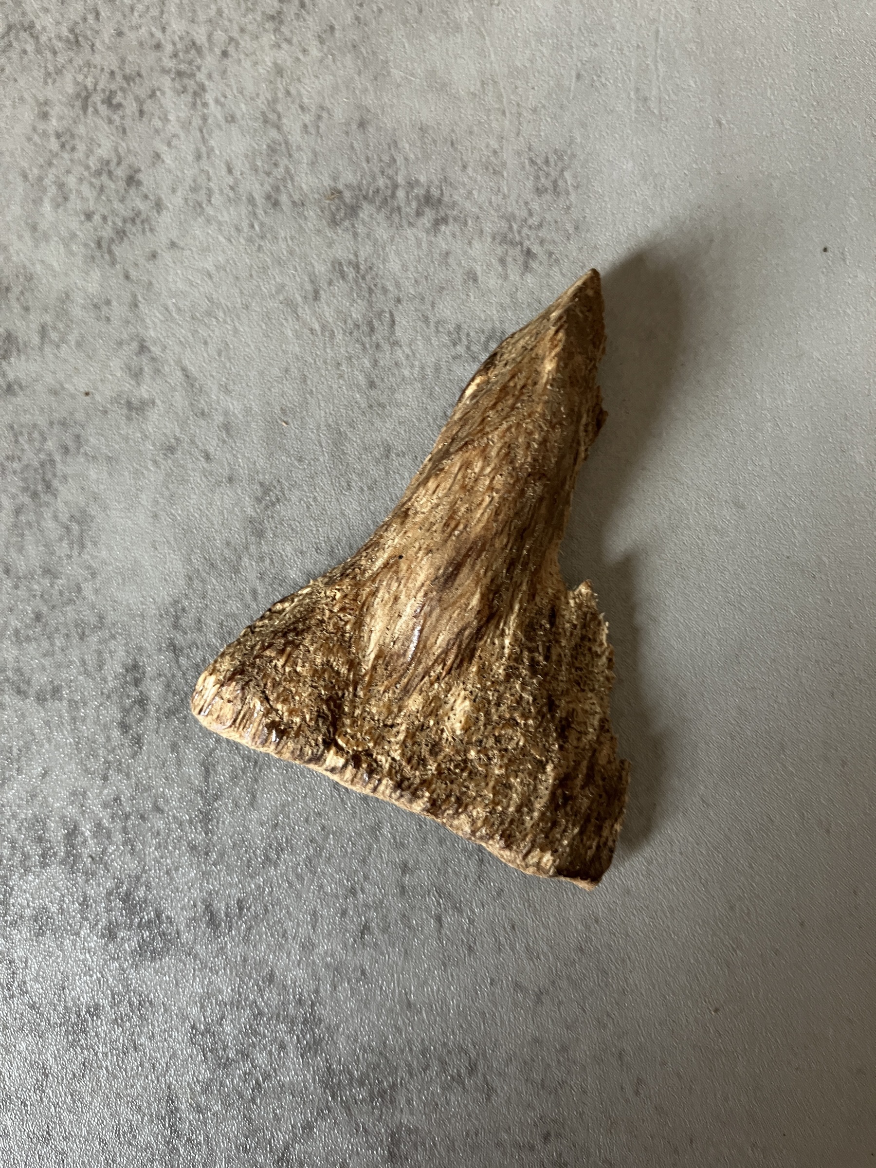 image_72160E29-56B9-42E5-82CB-E826C27D7CBC_1770621206